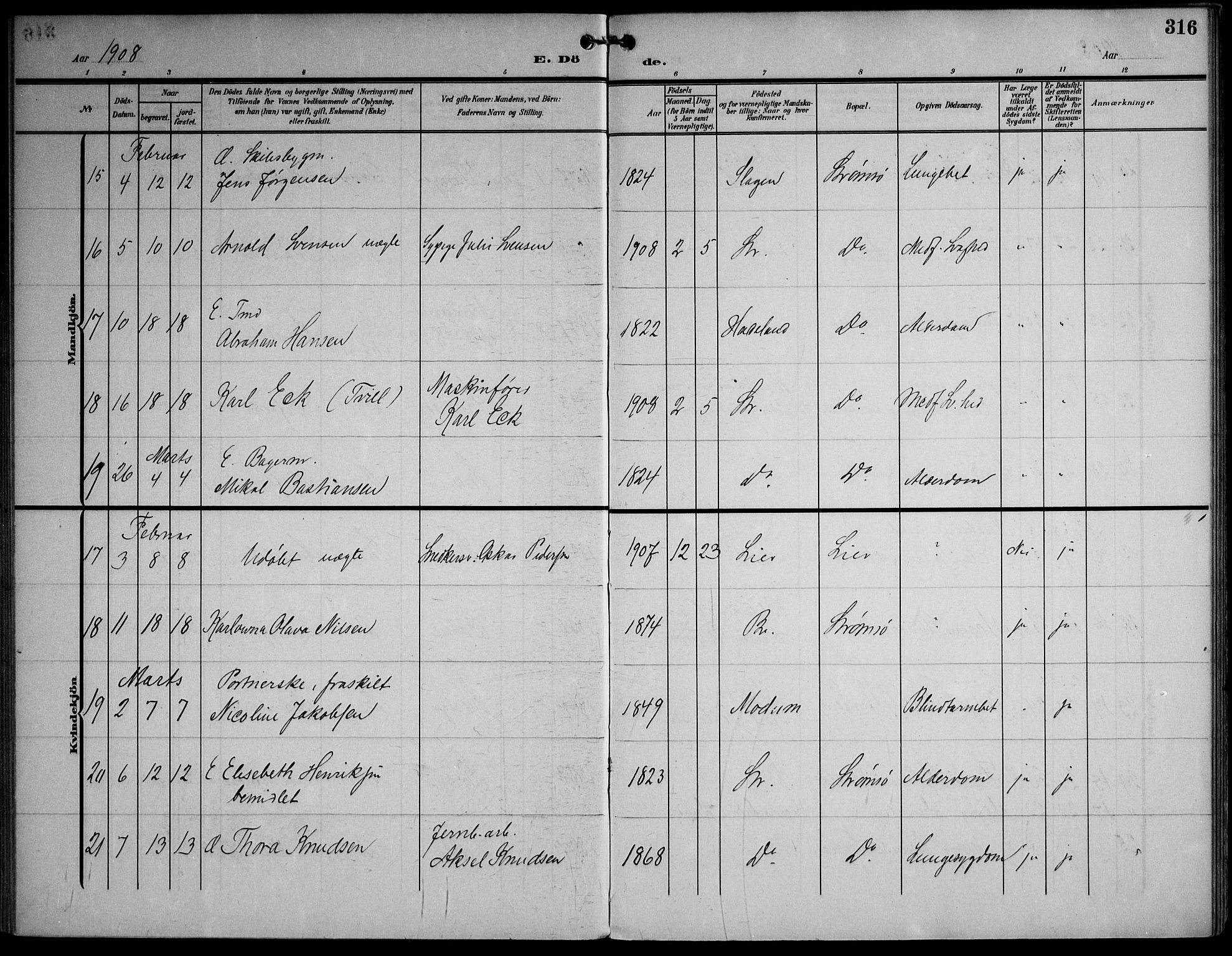 Strømsø kirkebøker, AV/SAKO-A-246/F/Fa/L0026: Parish register (official) no. I 26, 1905-1914, p. 316