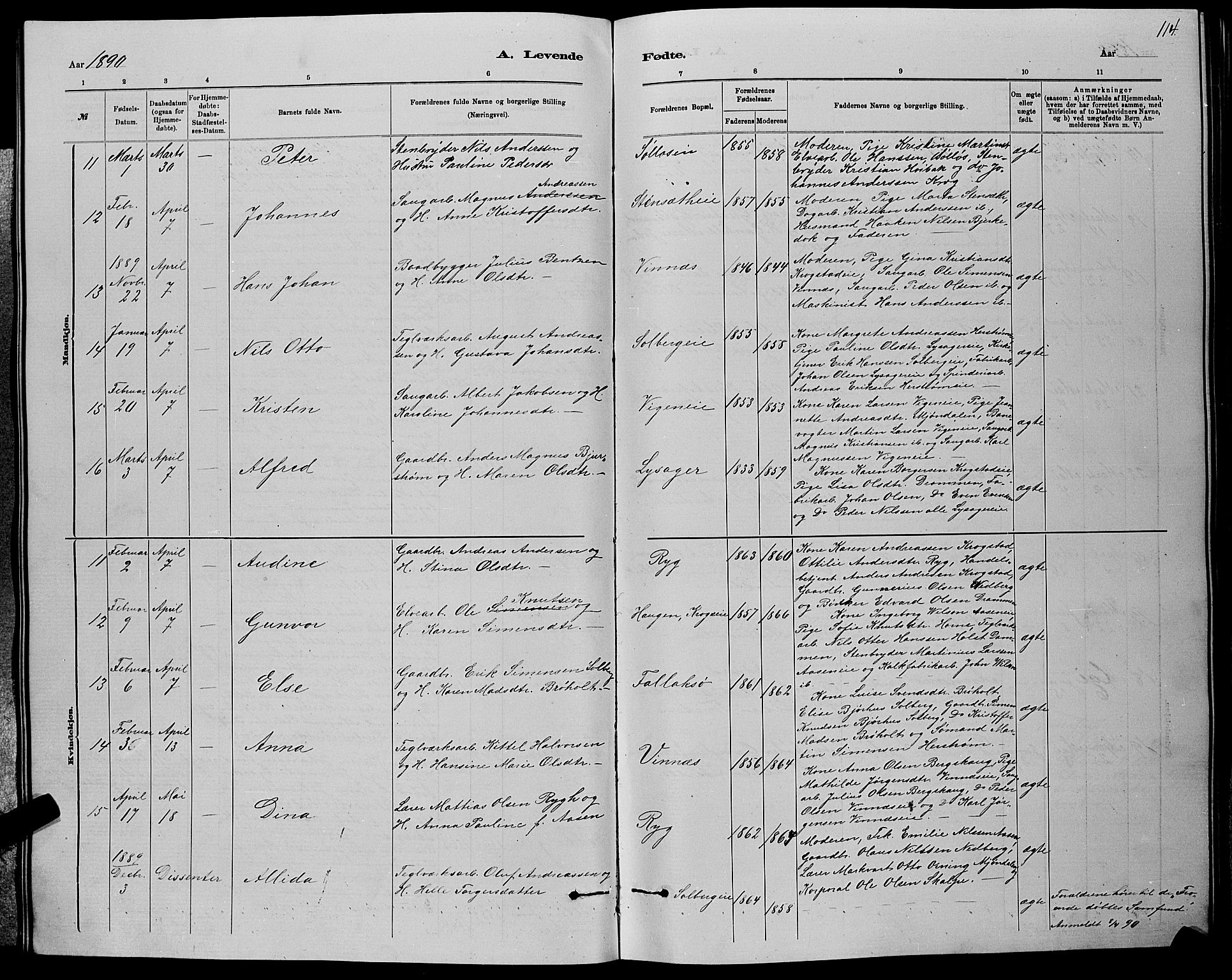 Nedre Eiker kirkebøker, AV/SAKO-A-612/G/Ga/L0002: Parish register (copy) no. 2, 1880-1896, p. 114