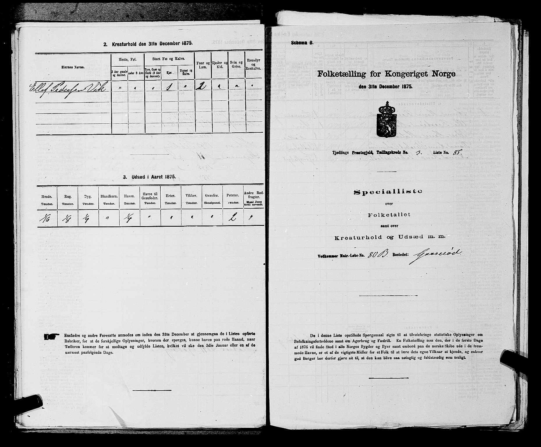 SAKO, 1875 census for 0725P Tjølling, 1875, p. 711