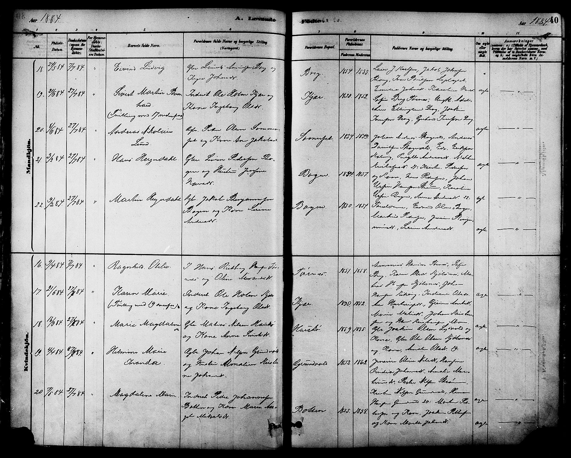 Ministerialprotokoller, klokkerbøker og fødselsregistre - Nordland, AV/SAT-A-1459/861/L0868: Parish register (official) no. 861A03, 1879-1889, p. 40