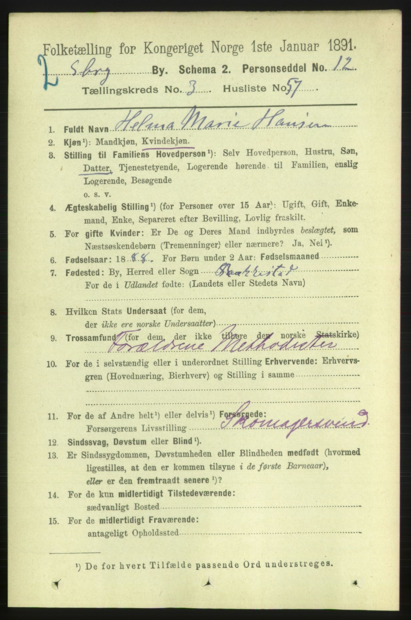 RA, 1891 census for 0102 Sarpsborg, 1891, p. 2994