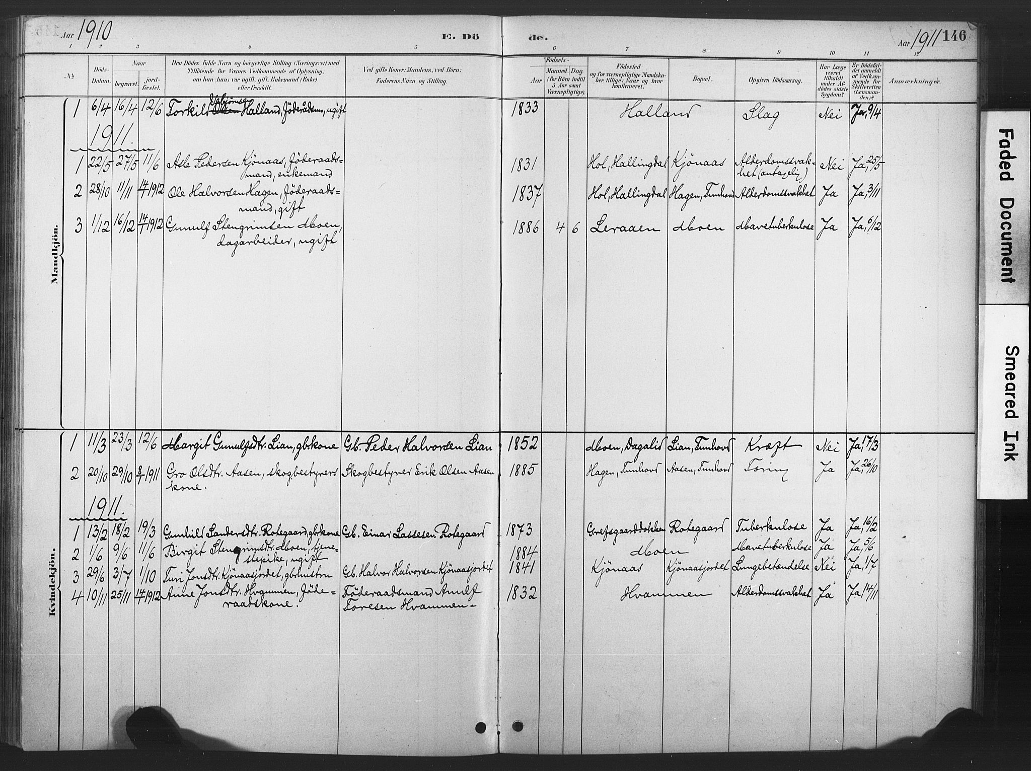 Nore kirkebøker, SAKO/A-238/F/Fd/L0001: Parish register (official) no. IV 1, 1878-1918, p. 146