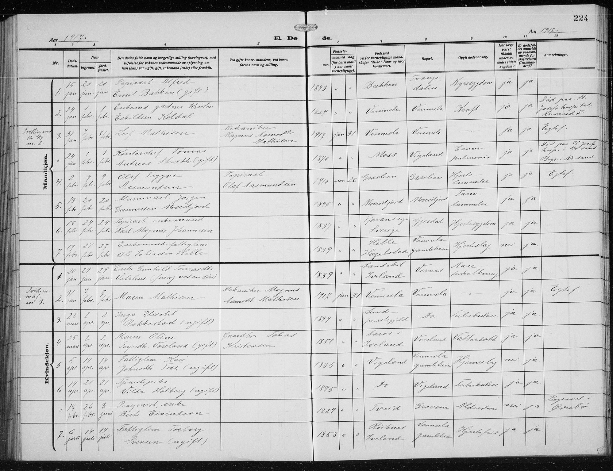 Vennesla sokneprestkontor, AV/SAK-1111-0045/Fb/Fbb/L0006: Parish register (copy) no. B 6, 1914-1921, p. 224