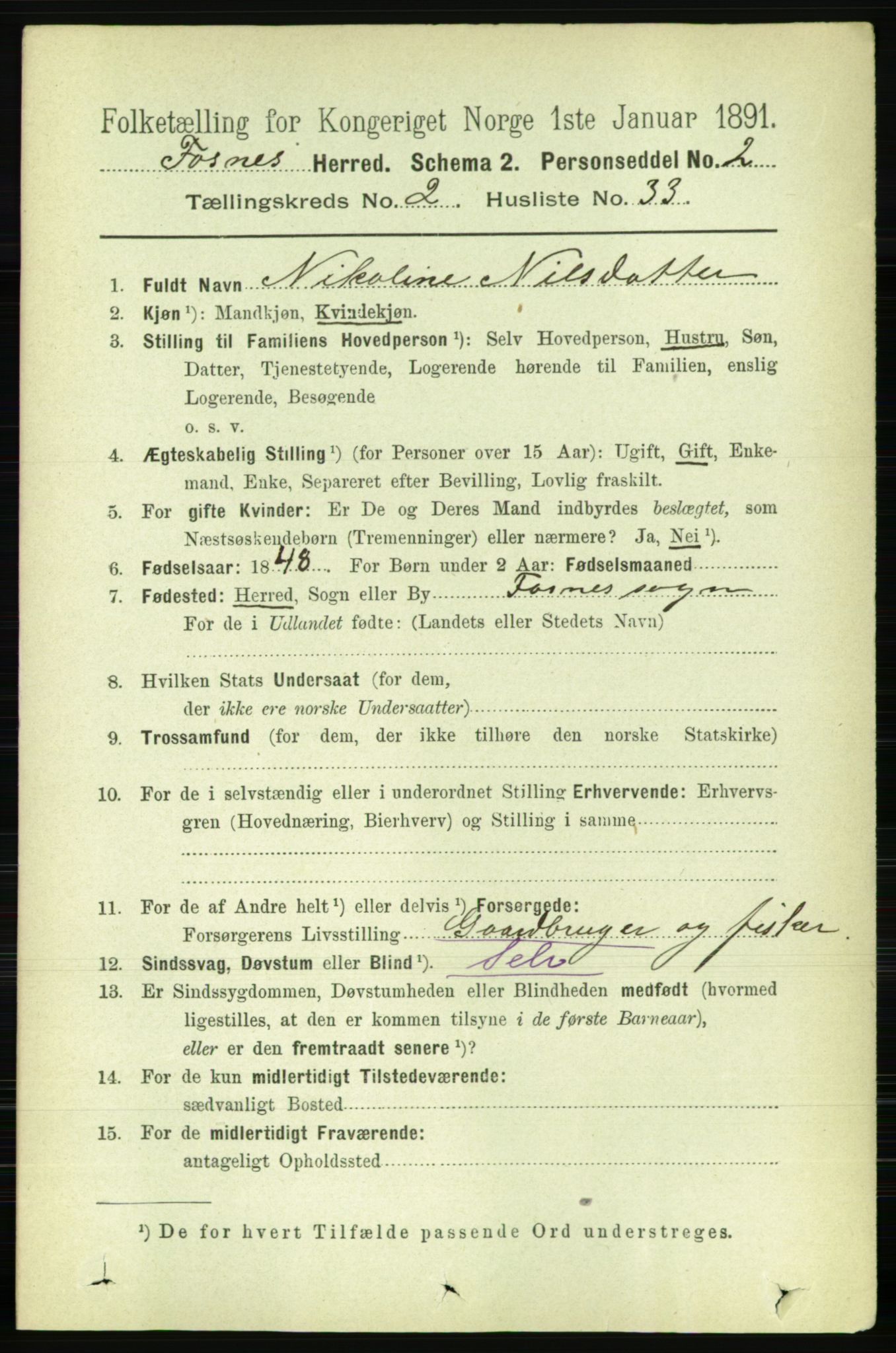 RA, 1891 census for 1748 Fosnes, 1891, p. 596