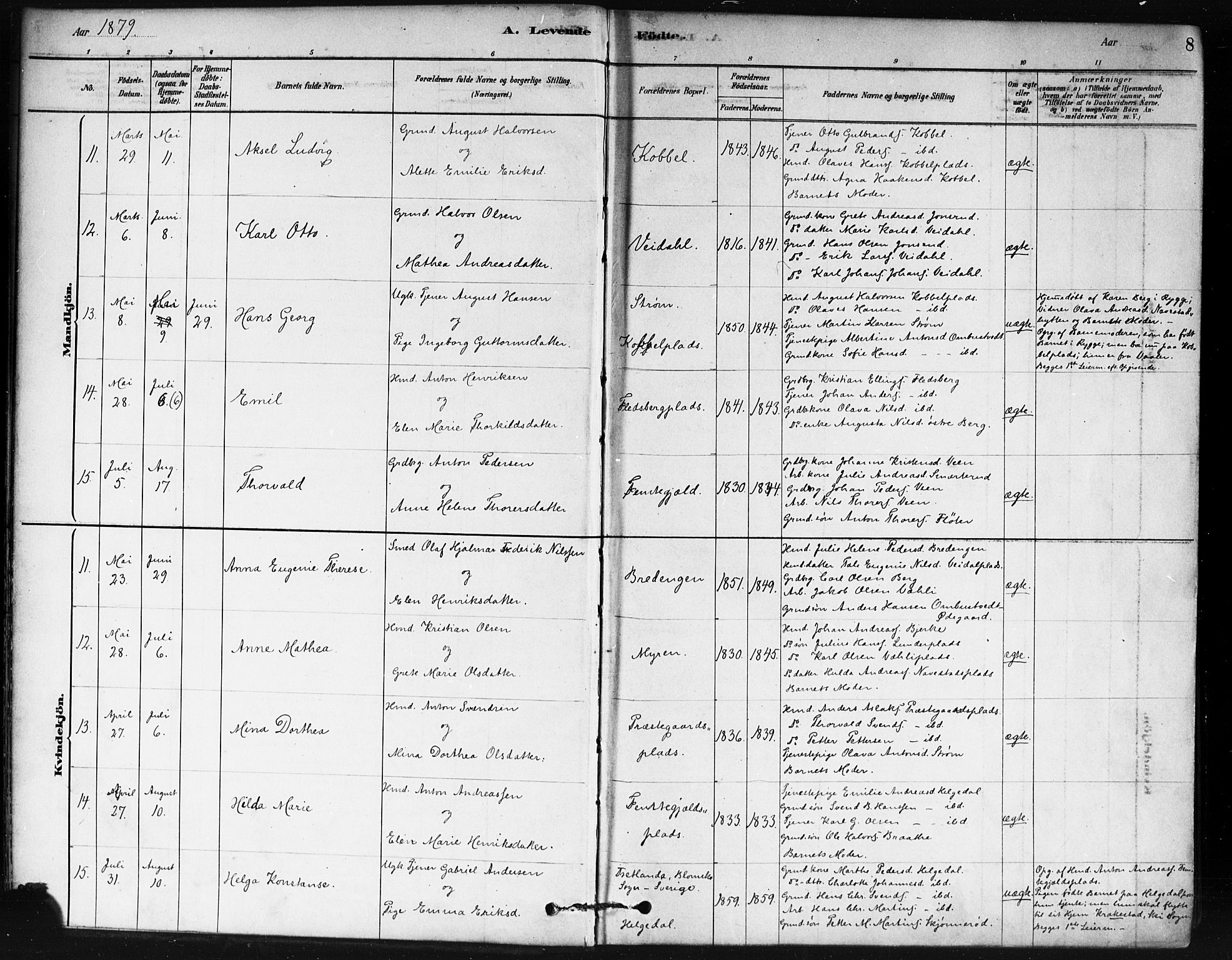 Våler prestekontor Kirkebøker, AV/SAO-A-11083/F/Fa/L0010: Parish register (official) no. I 10, 1878-1896, p. 8