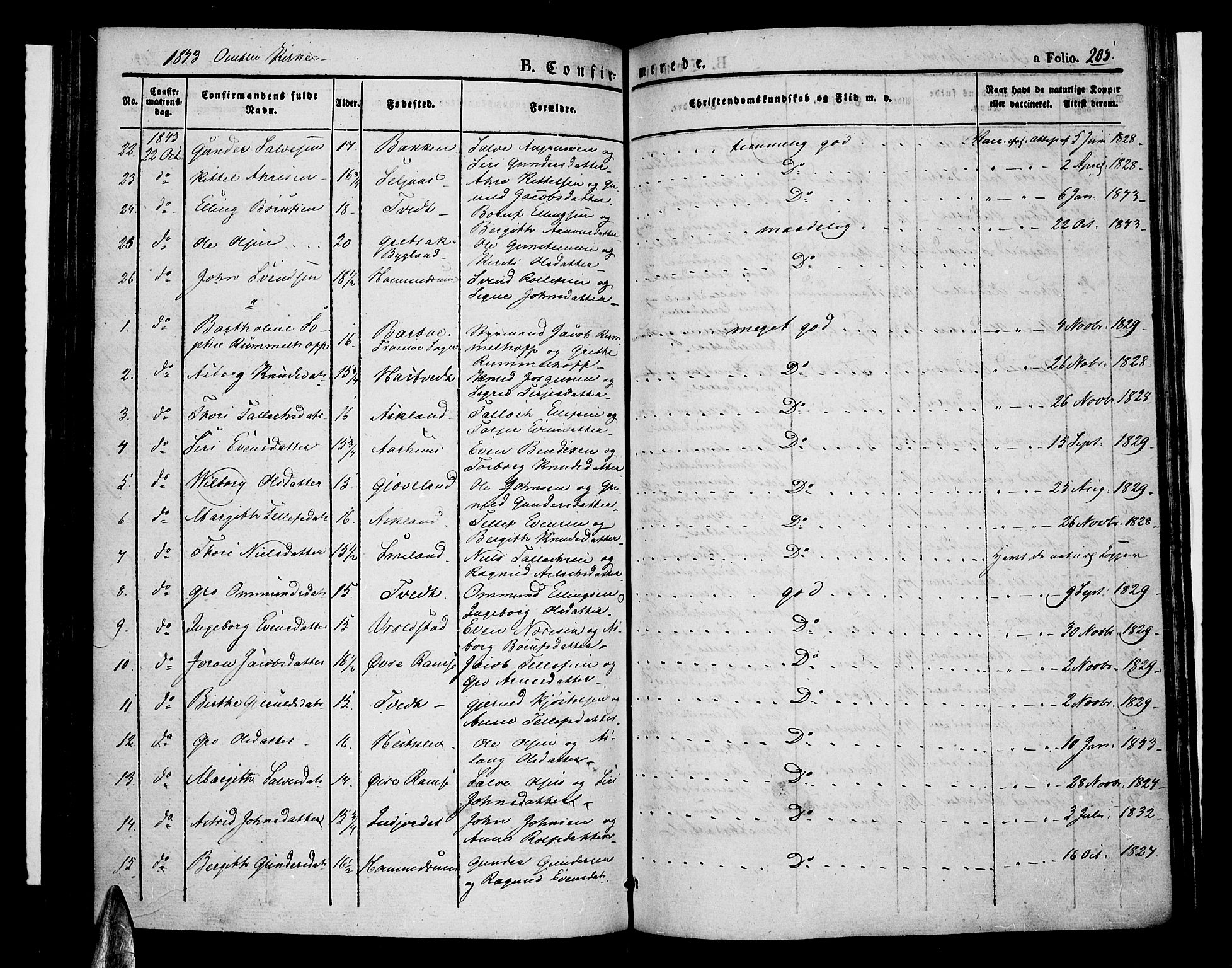 Åmli sokneprestkontor, SAK/1111-0050/F/Fa/Fac/L0007: Parish register (official) no. A 7 /1, 1829-1851, p. 205