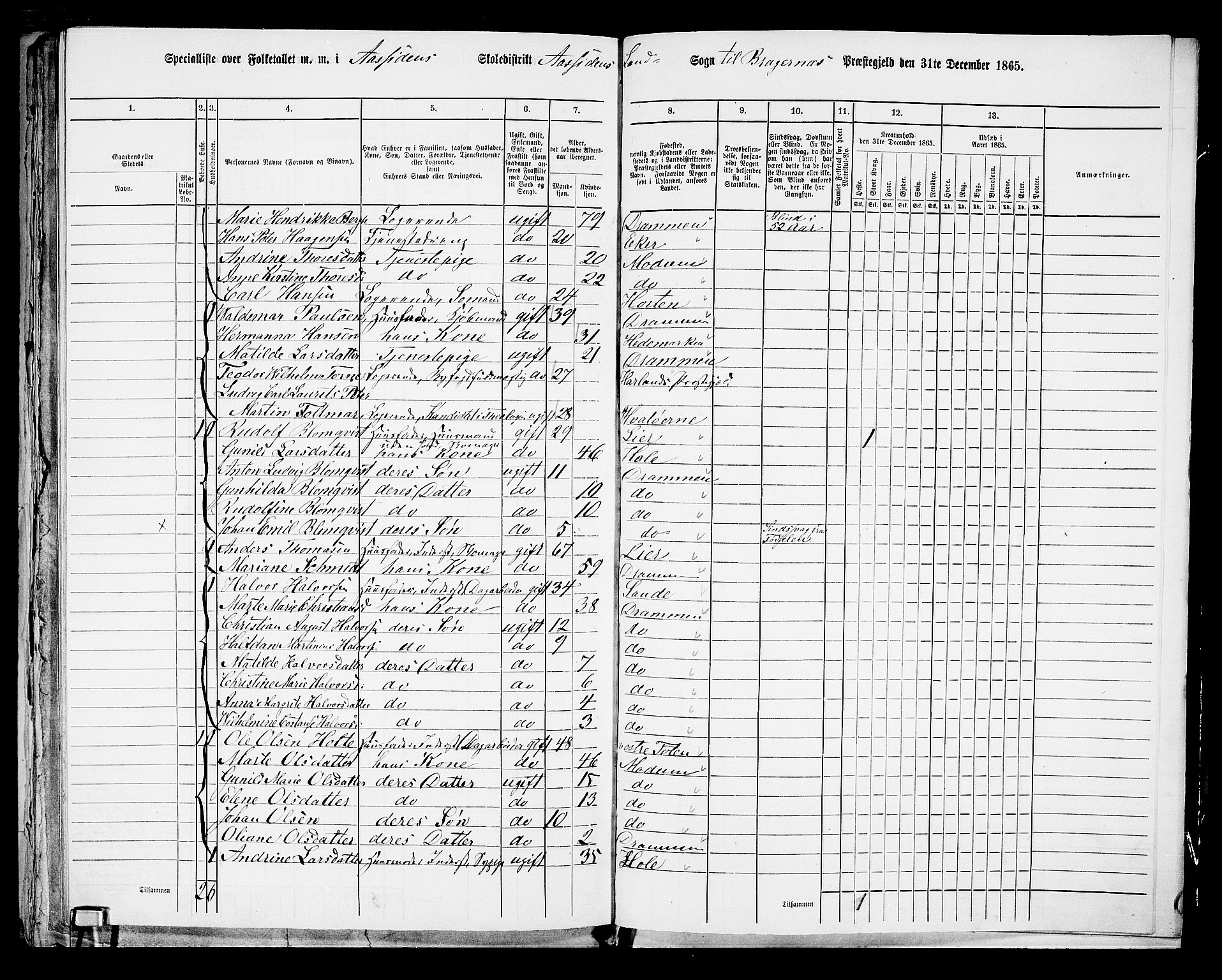 RA, 1865 census for Bragernes/Åssiden, 1865, p. 35