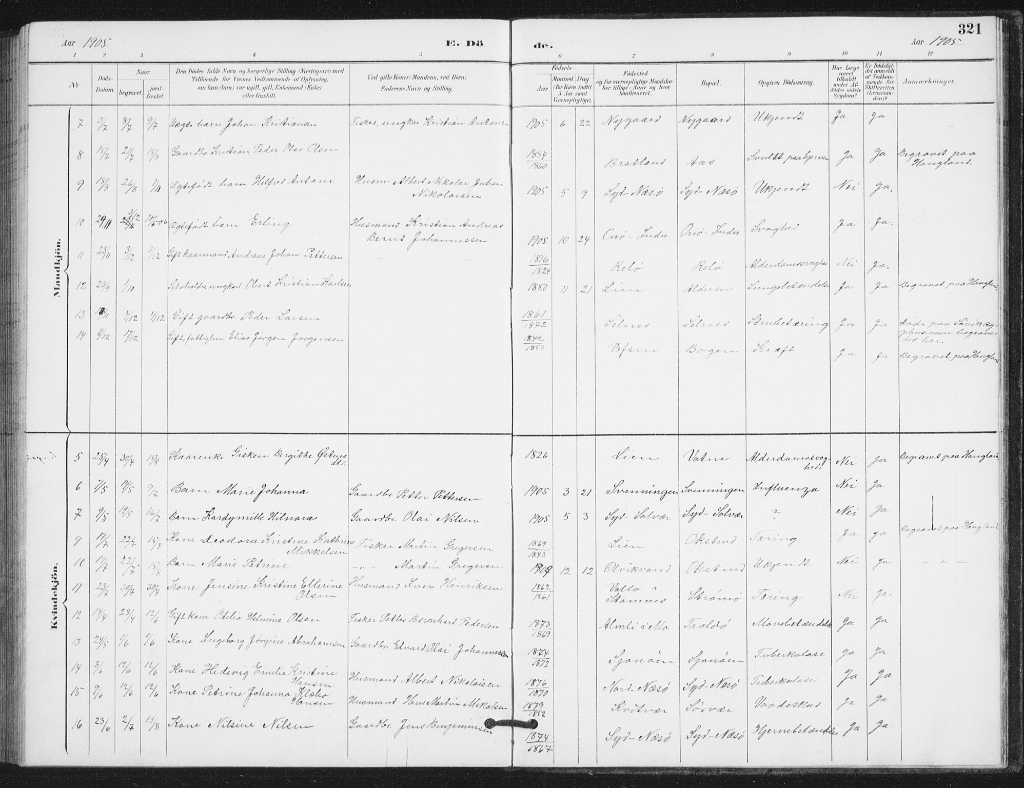 Ministerialprotokoller, klokkerbøker og fødselsregistre - Nordland, AV/SAT-A-1459/839/L0573: Parish register (copy) no. 839C03, 1892-1917, p. 321