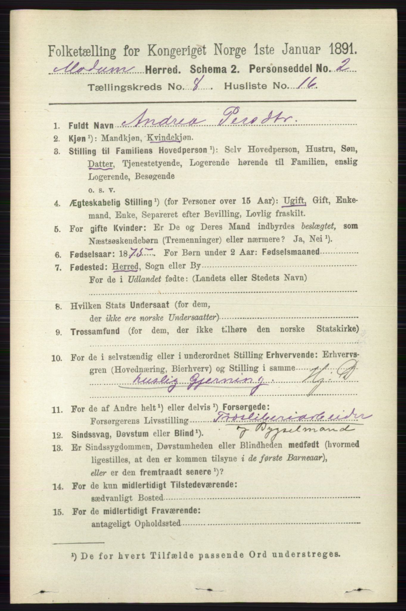 RA, 1891 census for 0623 Modum, 1891, p. 2961