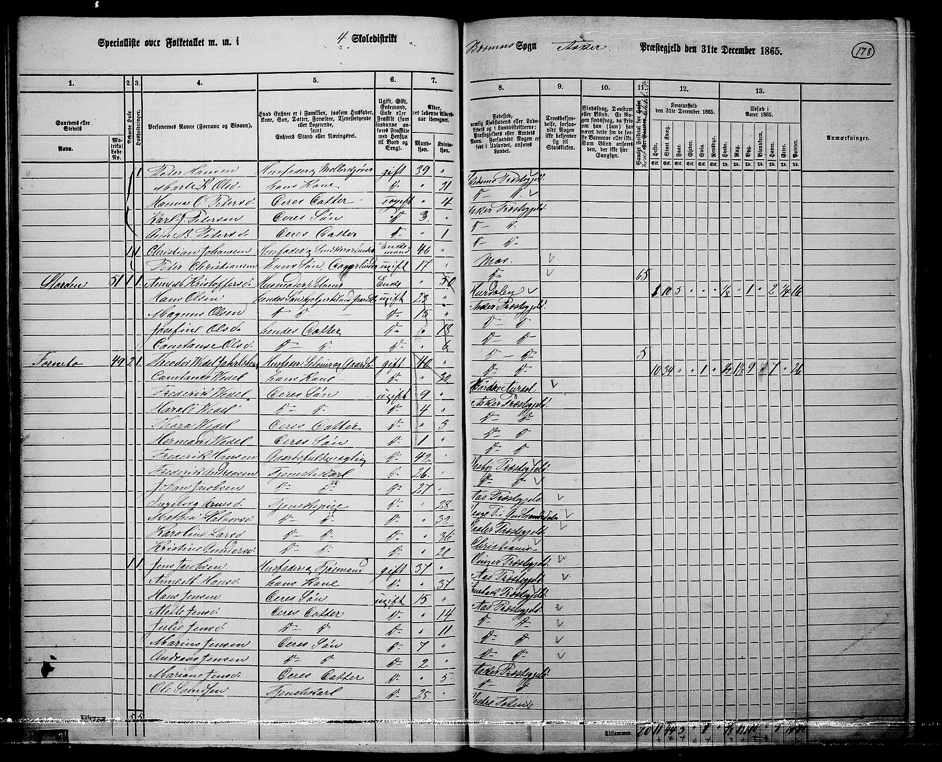 RA, 1865 census for Asker, 1865, p. 175