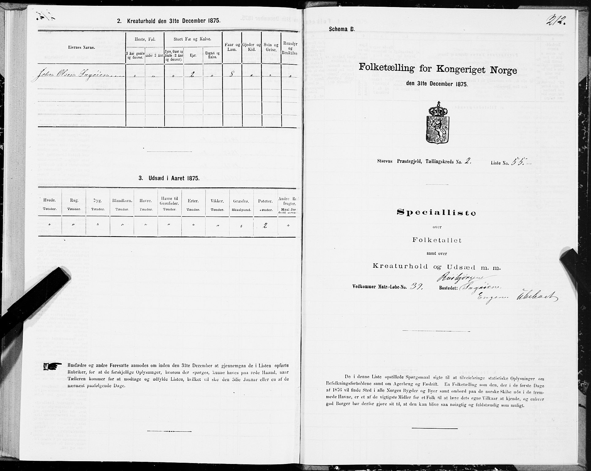 SAT, 1875 census for 1648P Støren, 1875, p. 1212