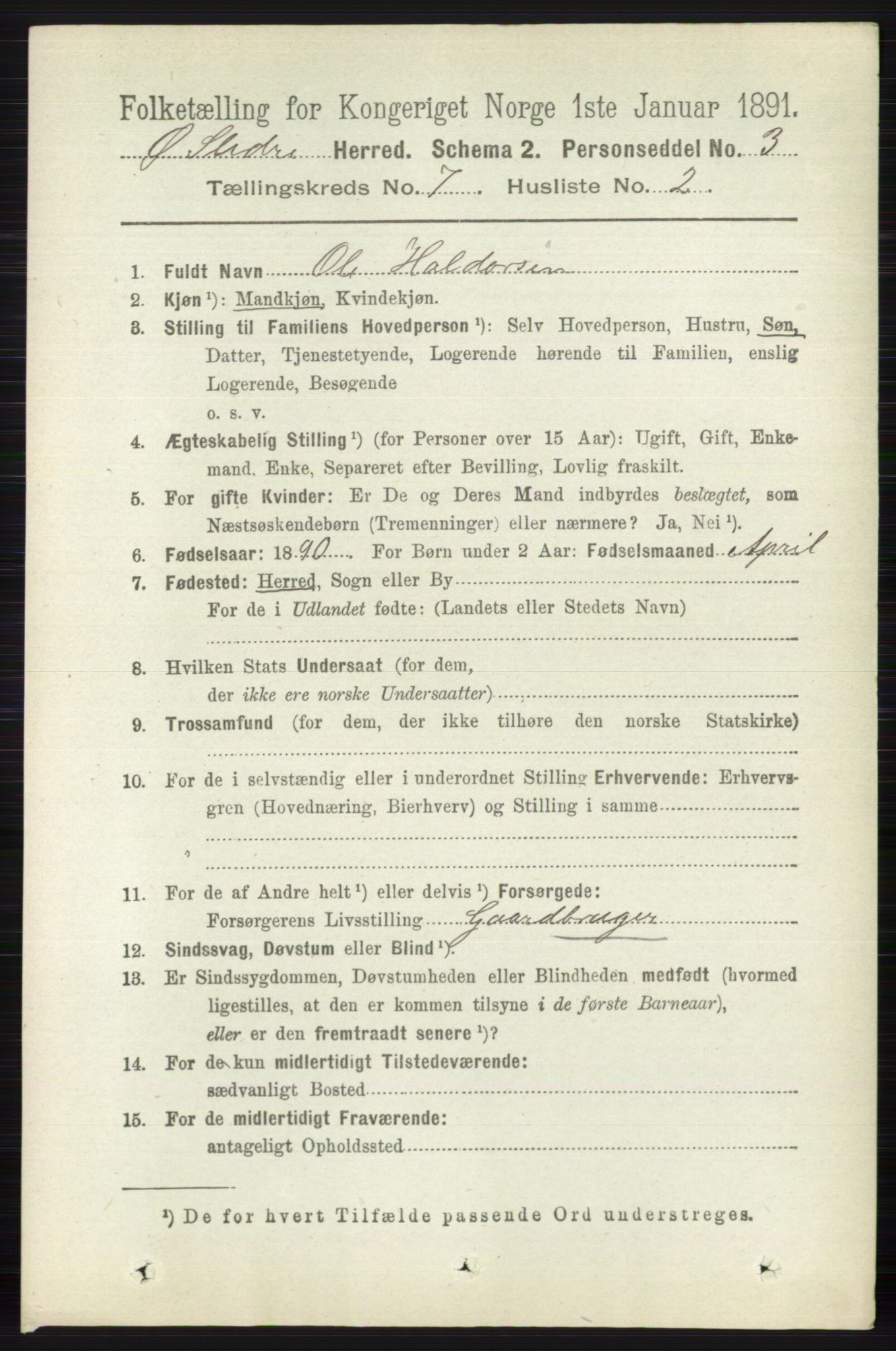 RA, 1891 census for 0544 Øystre Slidre, 1891, p. 2178