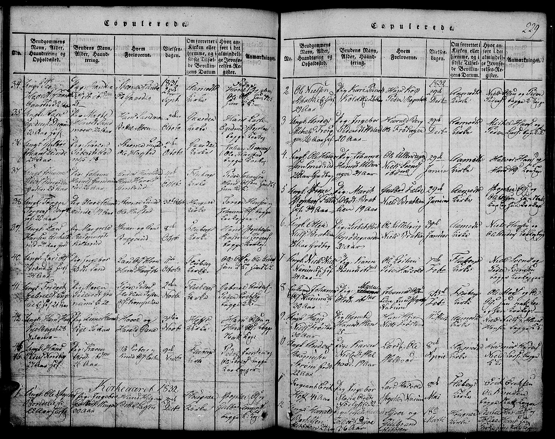 Land prestekontor, SAH/PREST-120/H/Ha/Hab/L0001: Parish register (copy) no. 1, 1814-1833, p. 229