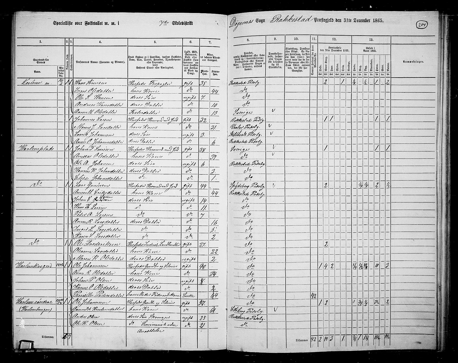 RA, 1865 census for Rakkestad, 1865, p. 196