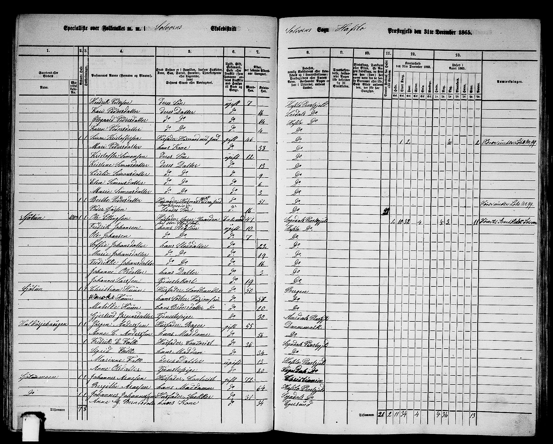 RA, 1865 census for Hafslo, 1865, p. 67