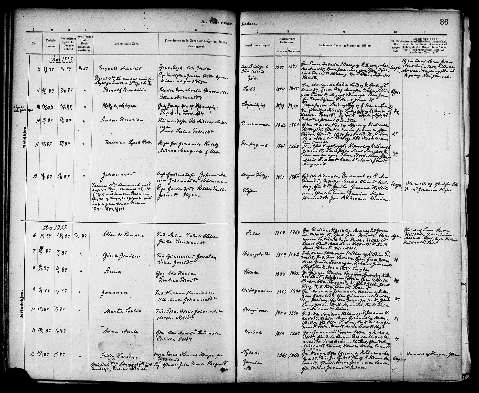 Ministerialprotokoller, klokkerbøker og fødselsregistre - Nord-Trøndelag, SAT/A-1458/714/L0130: Parish register (official) no. 714A01, 1878-1895, p. 36