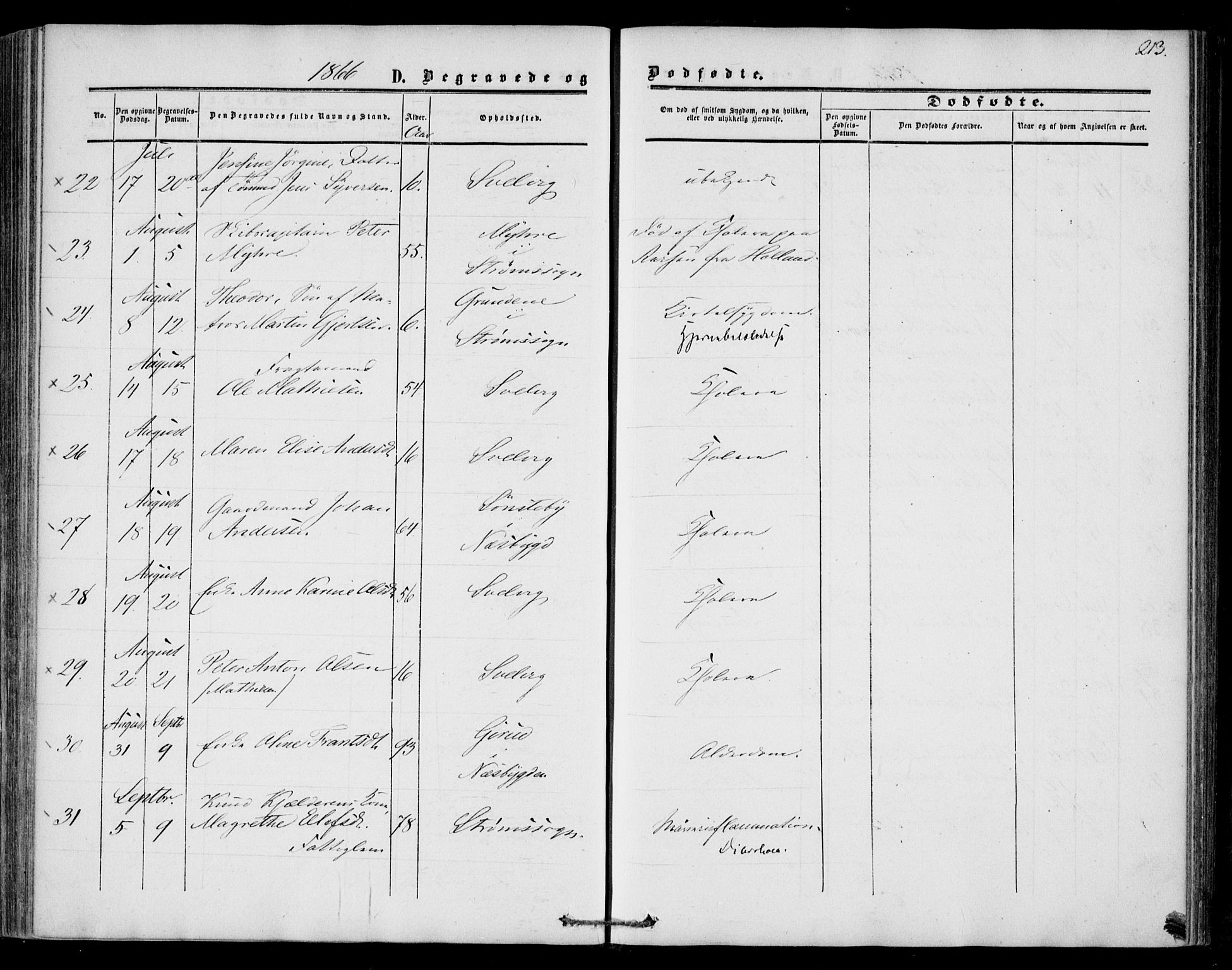 Strømm kirkebøker, AV/SAKO-A-322/F/Fa/L0001: Parish register (official) no. I 1, 1861-1869, p. 213