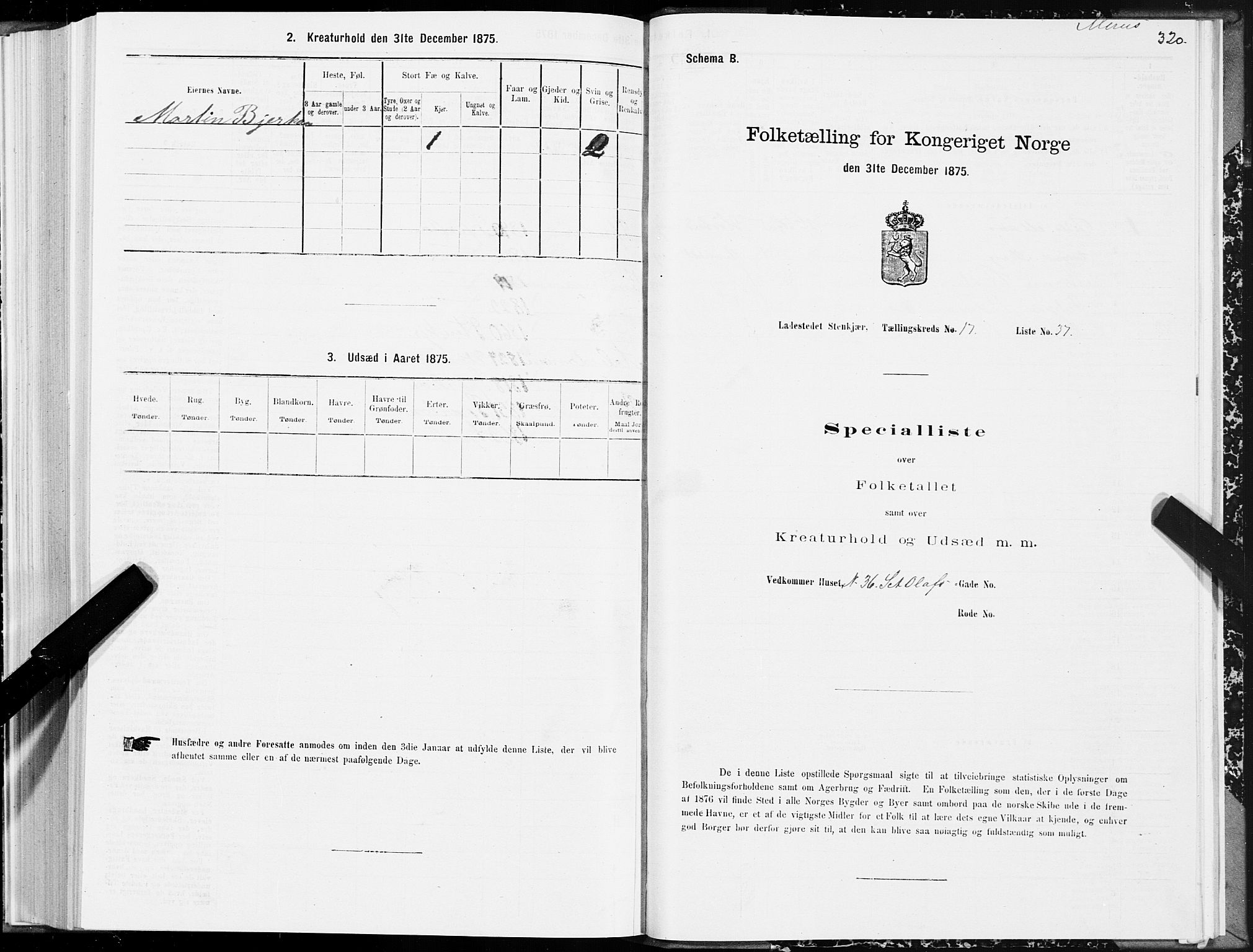 SAT, 1875 census for 1702B Steinkjer/Steinkjer, 1875, p. 320