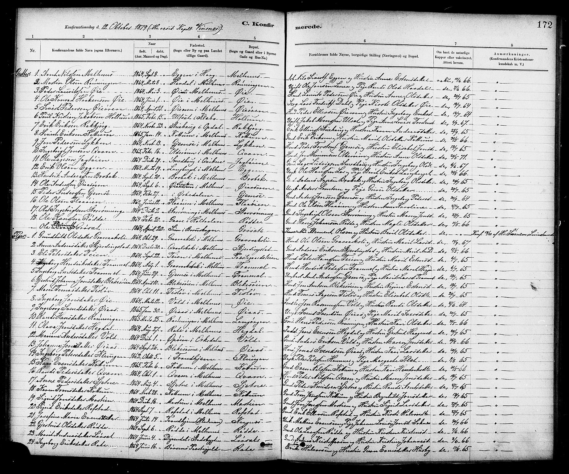 Ministerialprotokoller, klokkerbøker og fødselsregistre - Sør-Trøndelag, SAT/A-1456/691/L1094: Parish register (copy) no. 691C05, 1879-1911, p. 172
