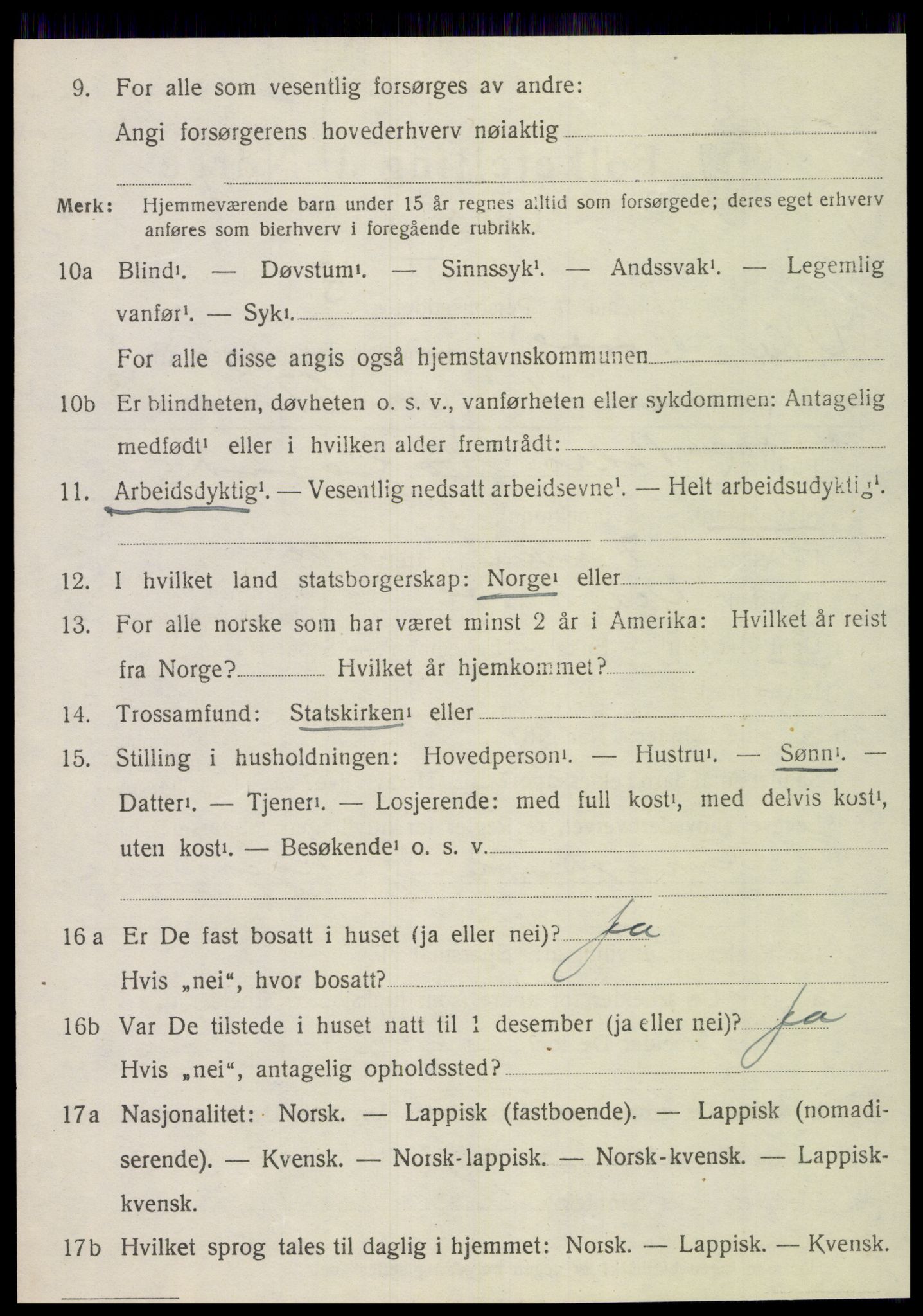 SAT, 1920 census for Vik, 1920, p. 5250