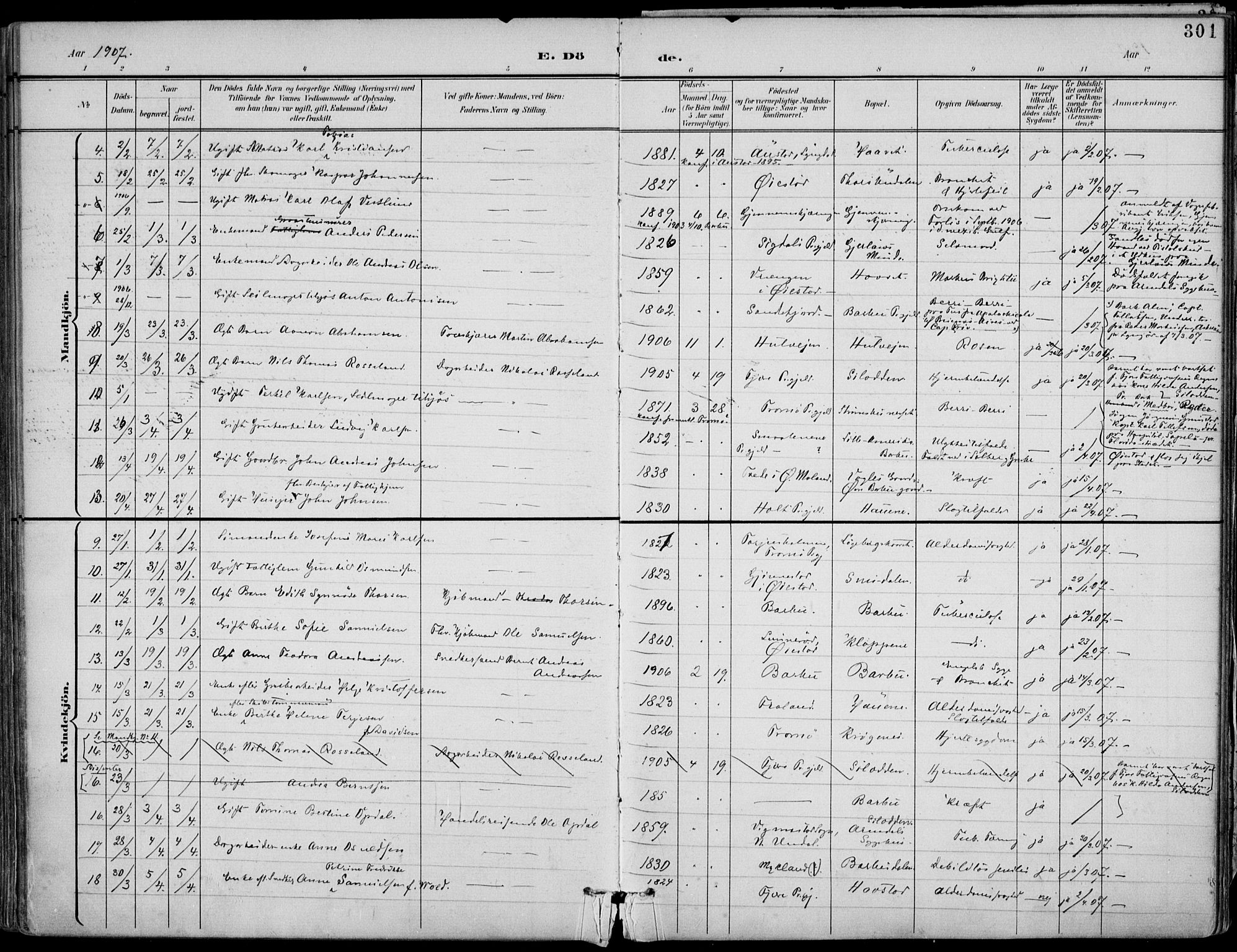 Barbu sokneprestkontor, AV/SAK-1111-0003/F/Fa/L0005: Parish register (official) no. A 5, 1899-1909, p. 301