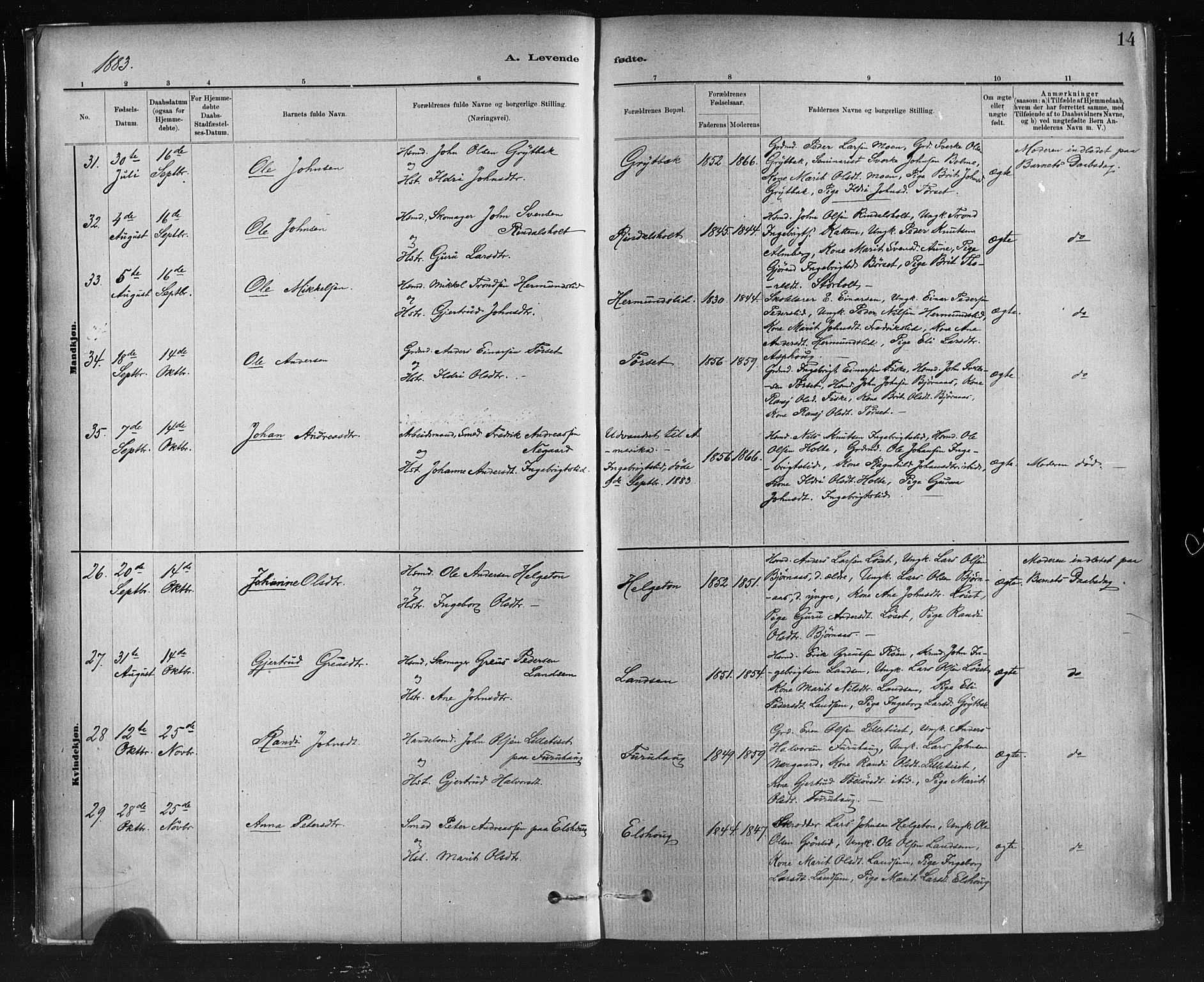 Ministerialprotokoller, klokkerbøker og fødselsregistre - Møre og Romsdal, AV/SAT-A-1454/598/L1069: Parish register (official) no. 598A03, 1882-1895, p. 14