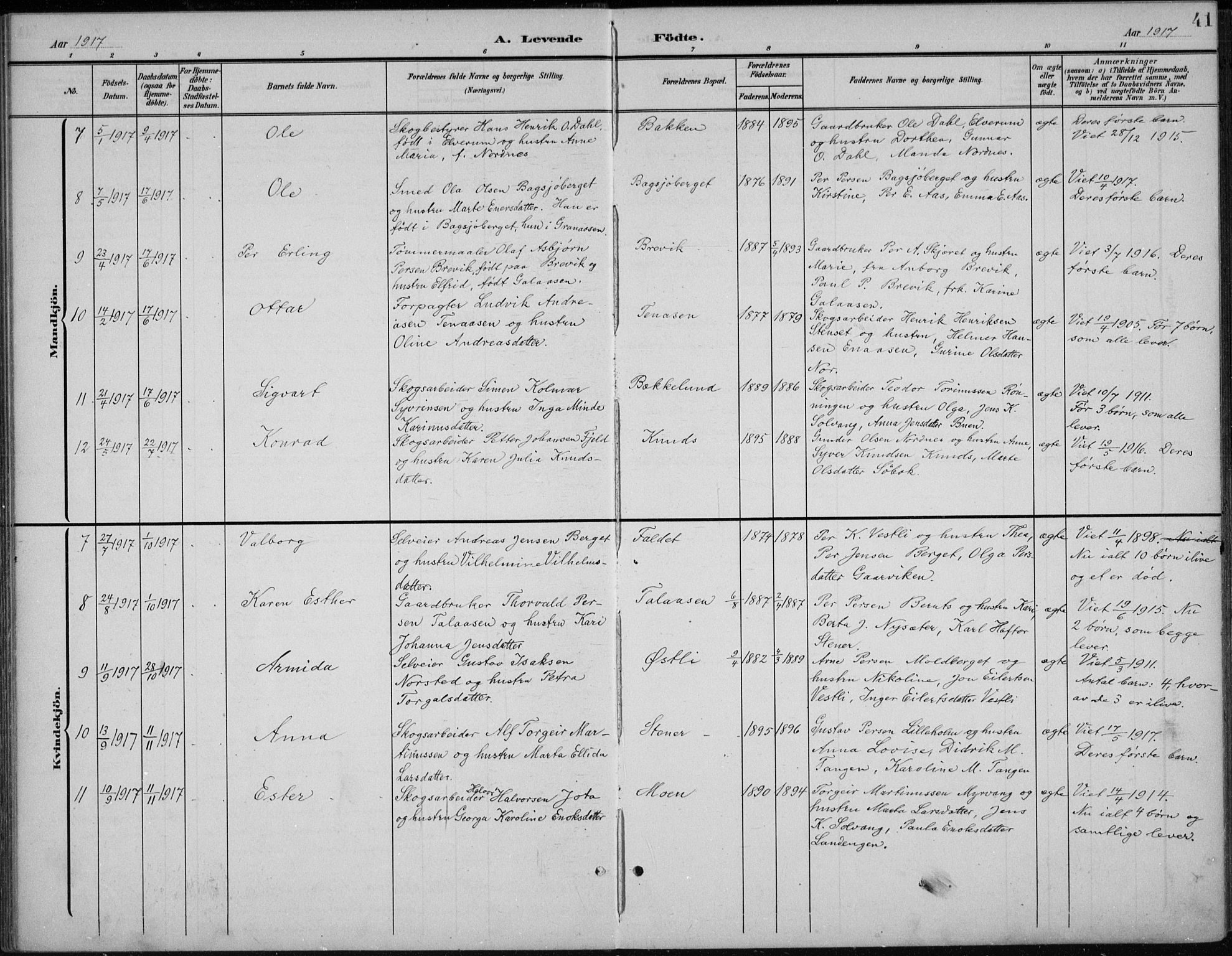 Åmot prestekontor, Hedmark, AV/SAH-PREST-056/H/Ha/Hab/L0003: Parish register (copy) no. 3, 1902-1938, p. 41