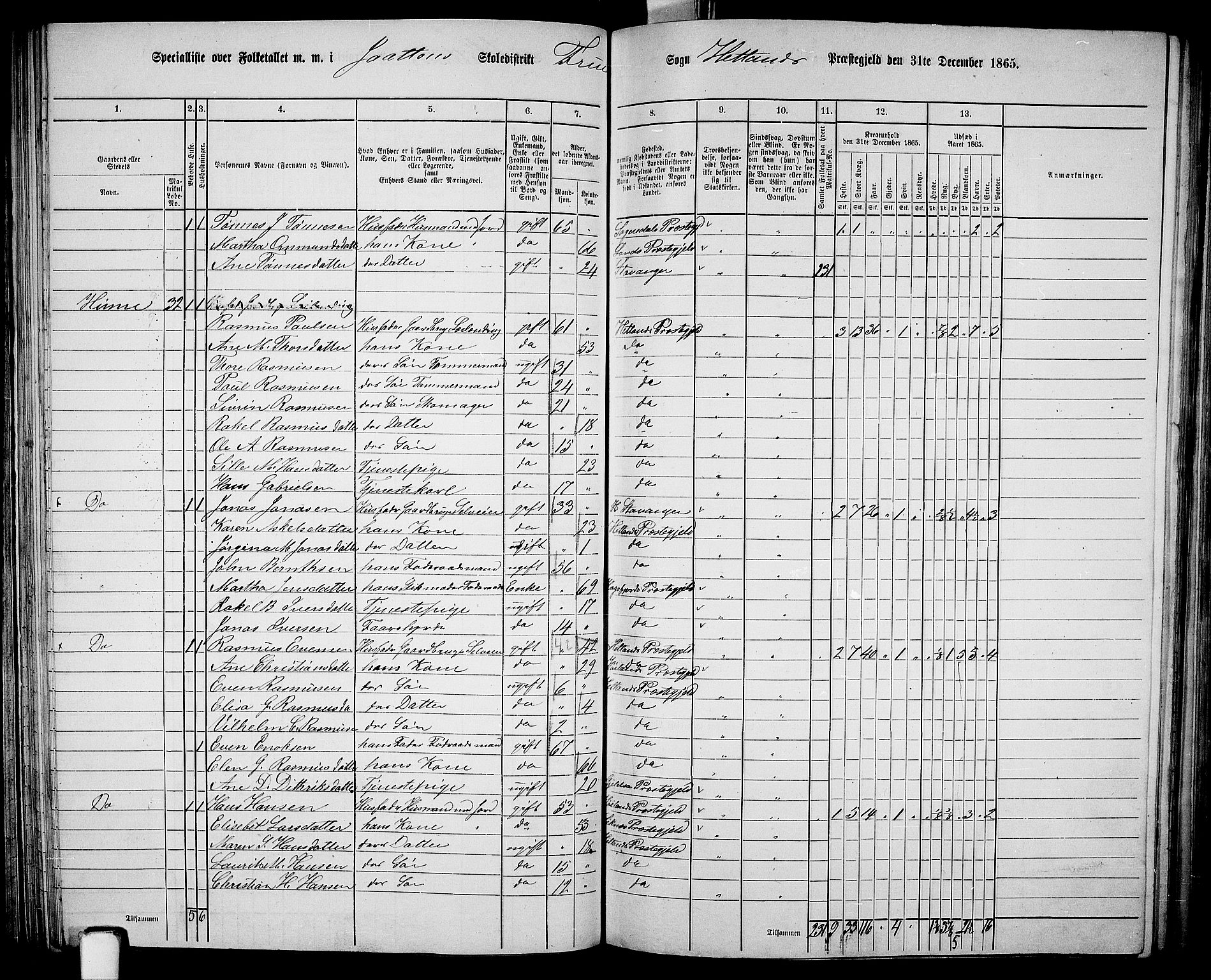 RA, 1865 census for Hetland, 1865, p. 101