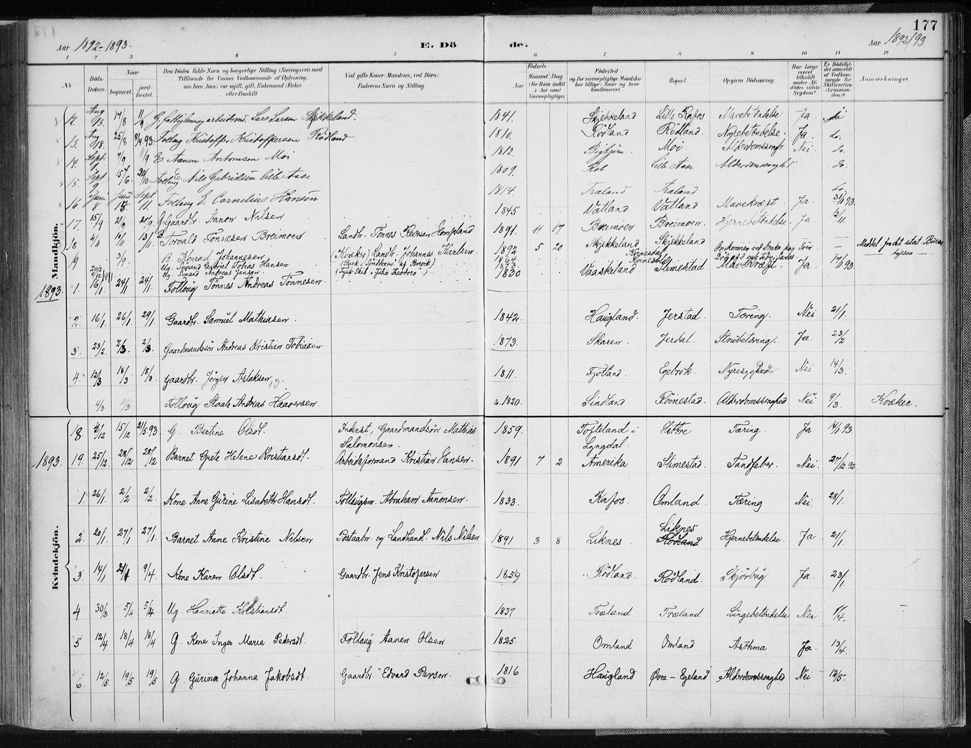 Kvinesdal sokneprestkontor, AV/SAK-1111-0026/F/Fa/Fab/L0008: Parish register (official) no. A 8, 1886-1897, p. 177