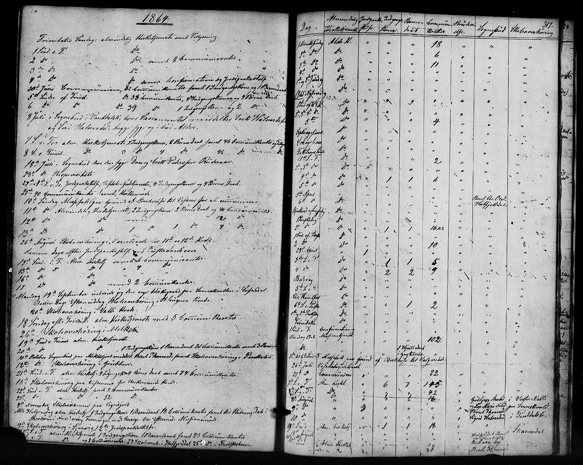 Ministerialprotokoller, klokkerbøker og fødselsregistre - Nordland, AV/SAT-A-1459/823/L0324: Parish register (official) no. 823A01, 1860-1878, p. 317