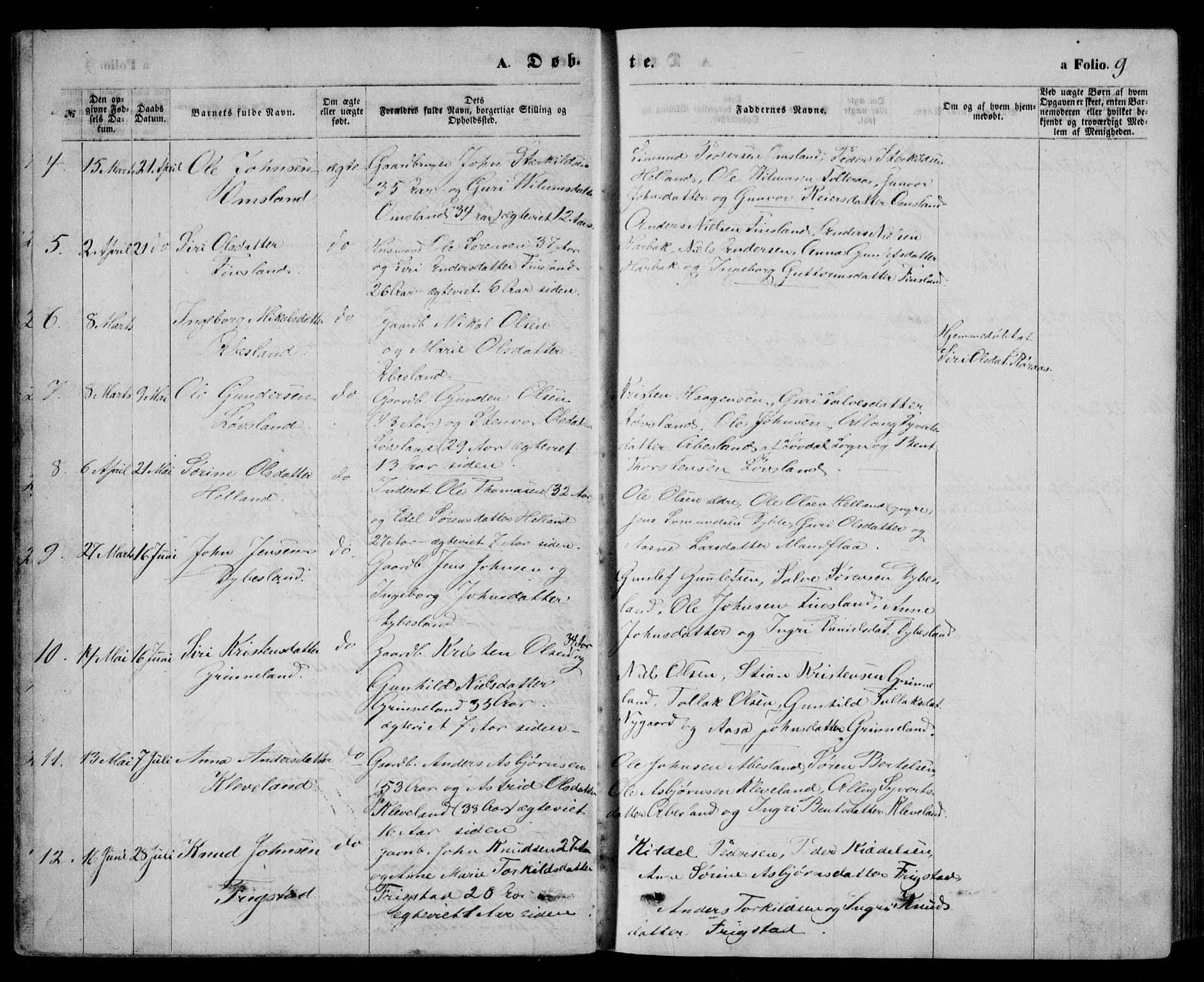 Bjelland sokneprestkontor, SAK/1111-0005/F/Fb/Fbb/L0004: Parish register (copy) no. B 4, 1867-1887, p. 9