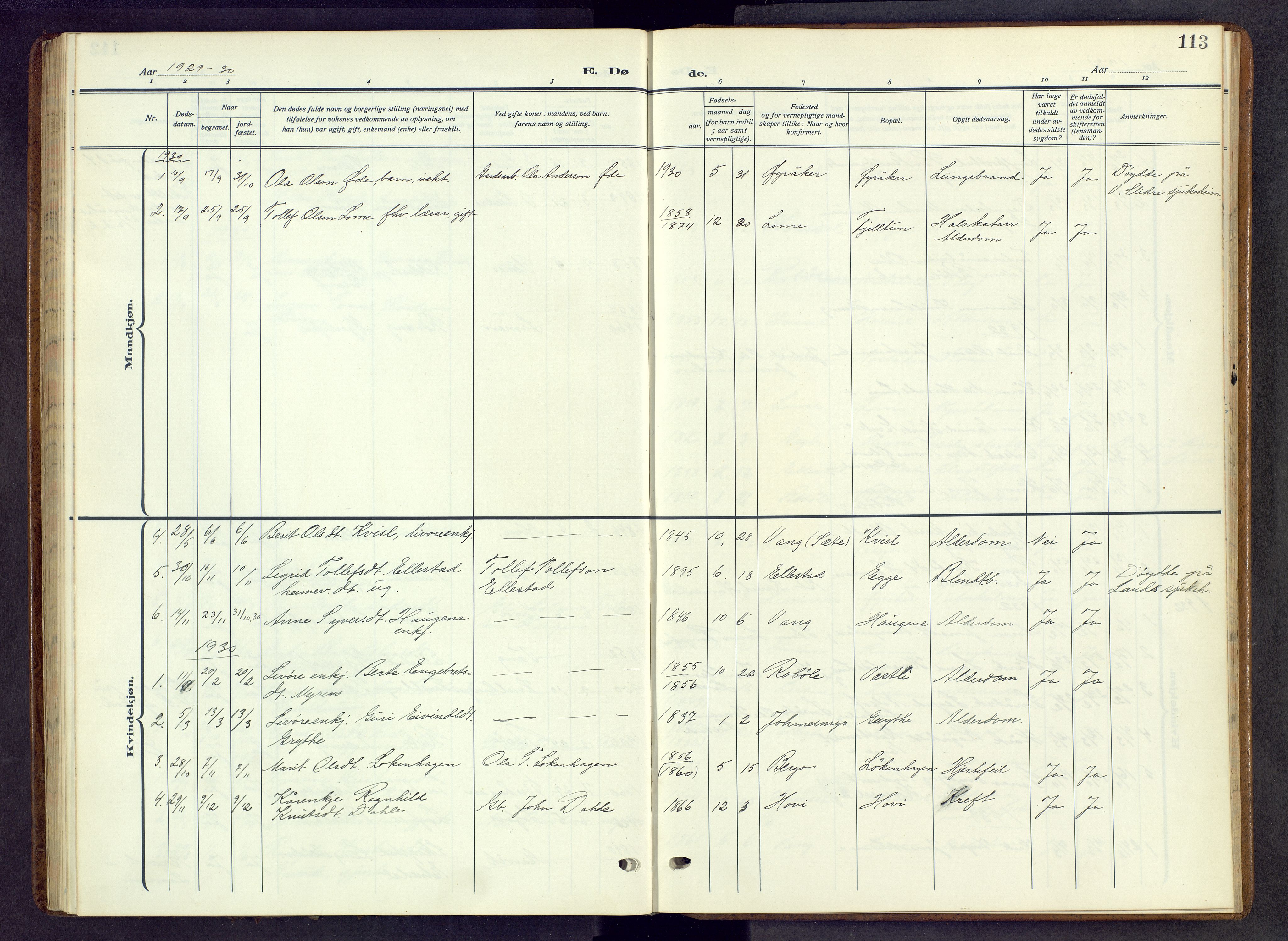 Vestre Slidre prestekontor, SAH/PREST-136/H/Ha/Hab/L0009: Parish register (copy) no. 9, 1914-1970, p. 113