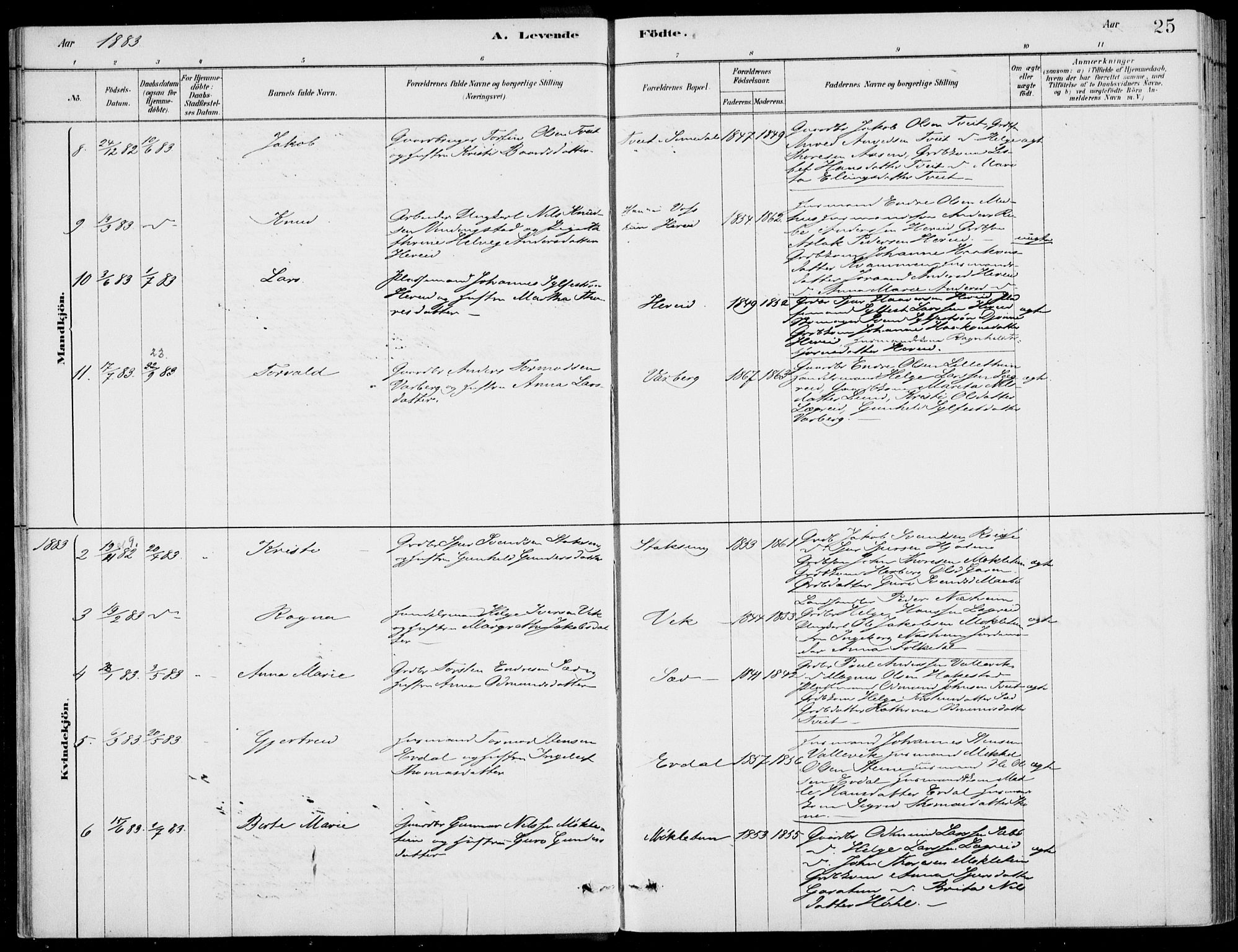 Ulvik sokneprestembete, AV/SAB-A-78801/H/Haa: Parish register (official) no. D  1, 1878-1903, p. 25