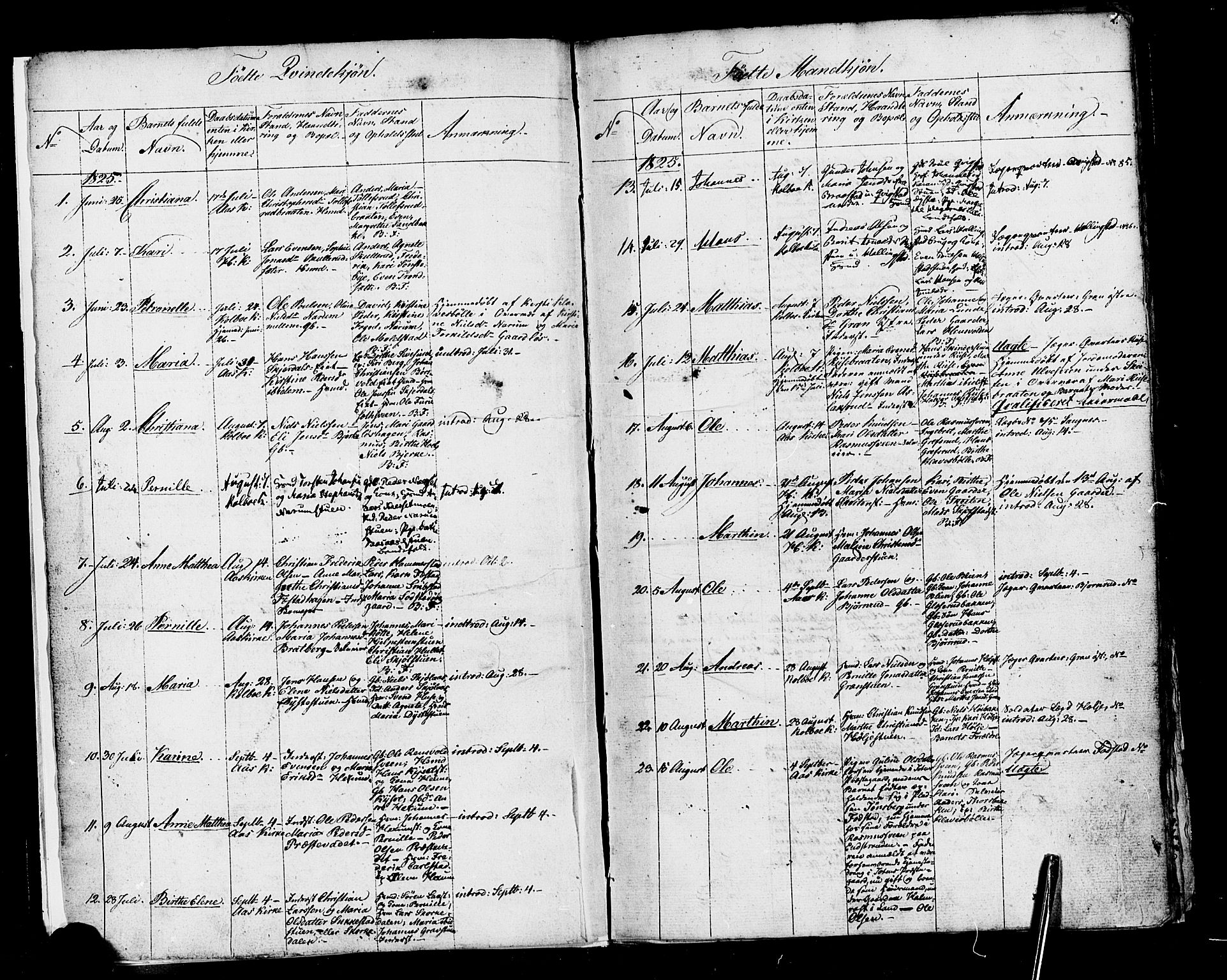 Vestre Toten prestekontor, SAH/PREST-108/H/Ha/Haa/L0001: Parish register (official) no. 1, 1825-1826, p. 2