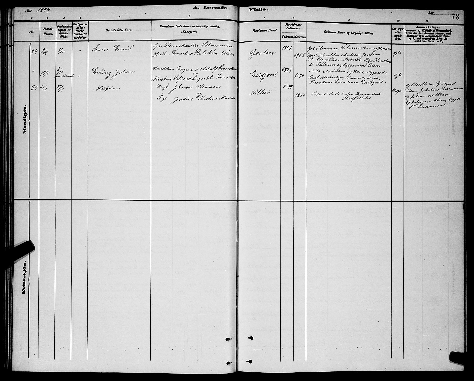 Lenvik sokneprestembete, AV/SATØ-S-1310/H/Ha/Hab/L0021klokker: Parish register (copy) no. 21, 1884-1900, p. 73