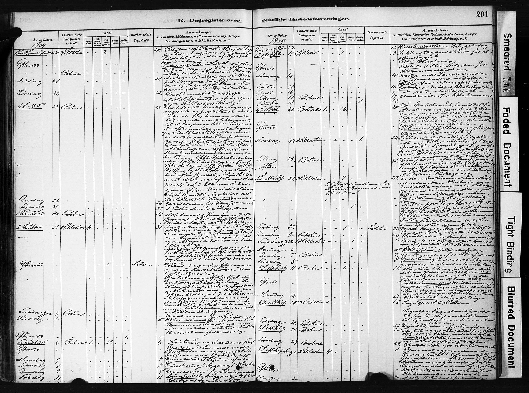 Botne kirkebøker, AV/SAKO-A-340/F/Fb/L0001: Parish register (official) no. II 1, 1878-1902, p. 201