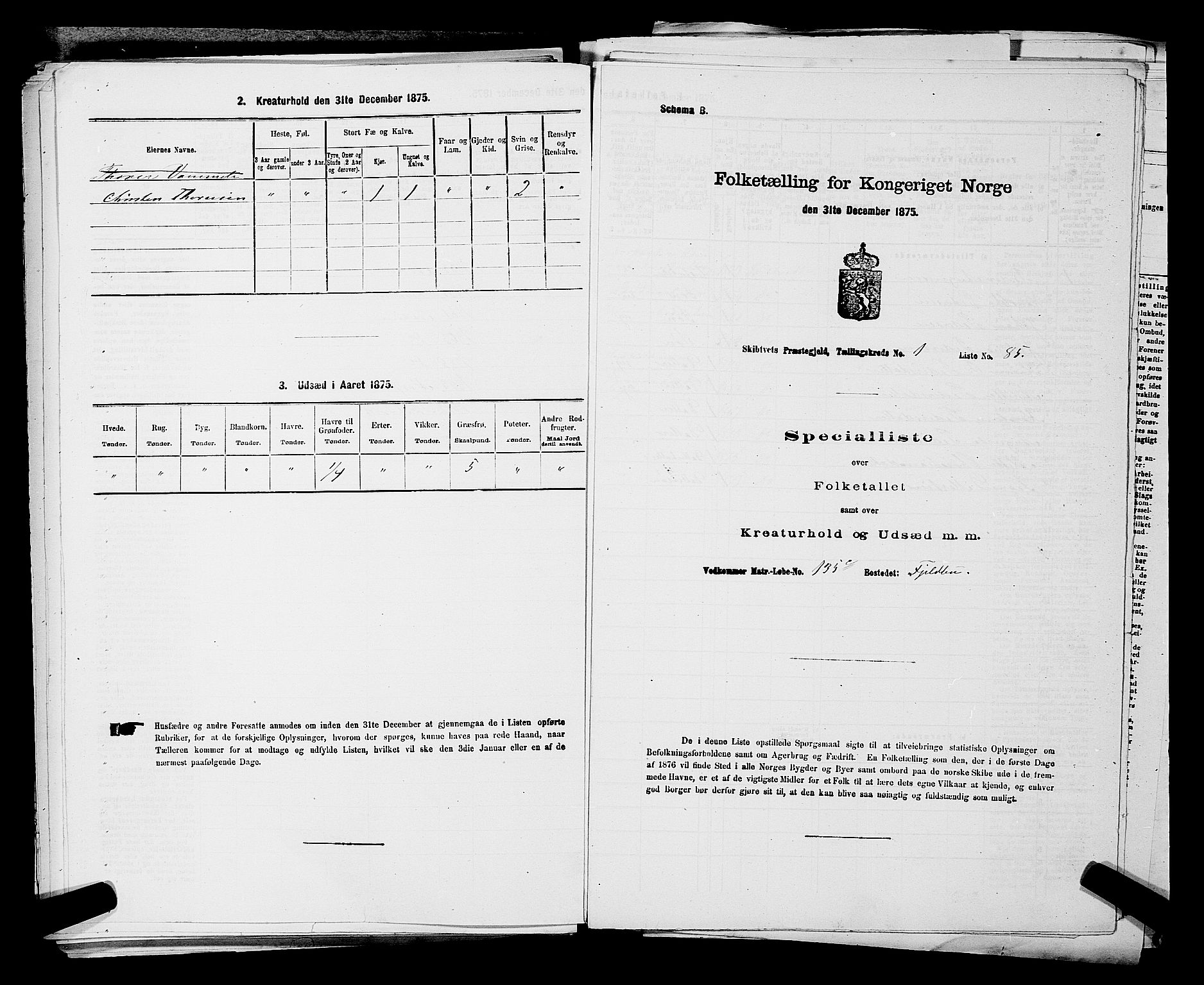 RA, 1875 census for 0127P Skiptvet, 1875, p. 198