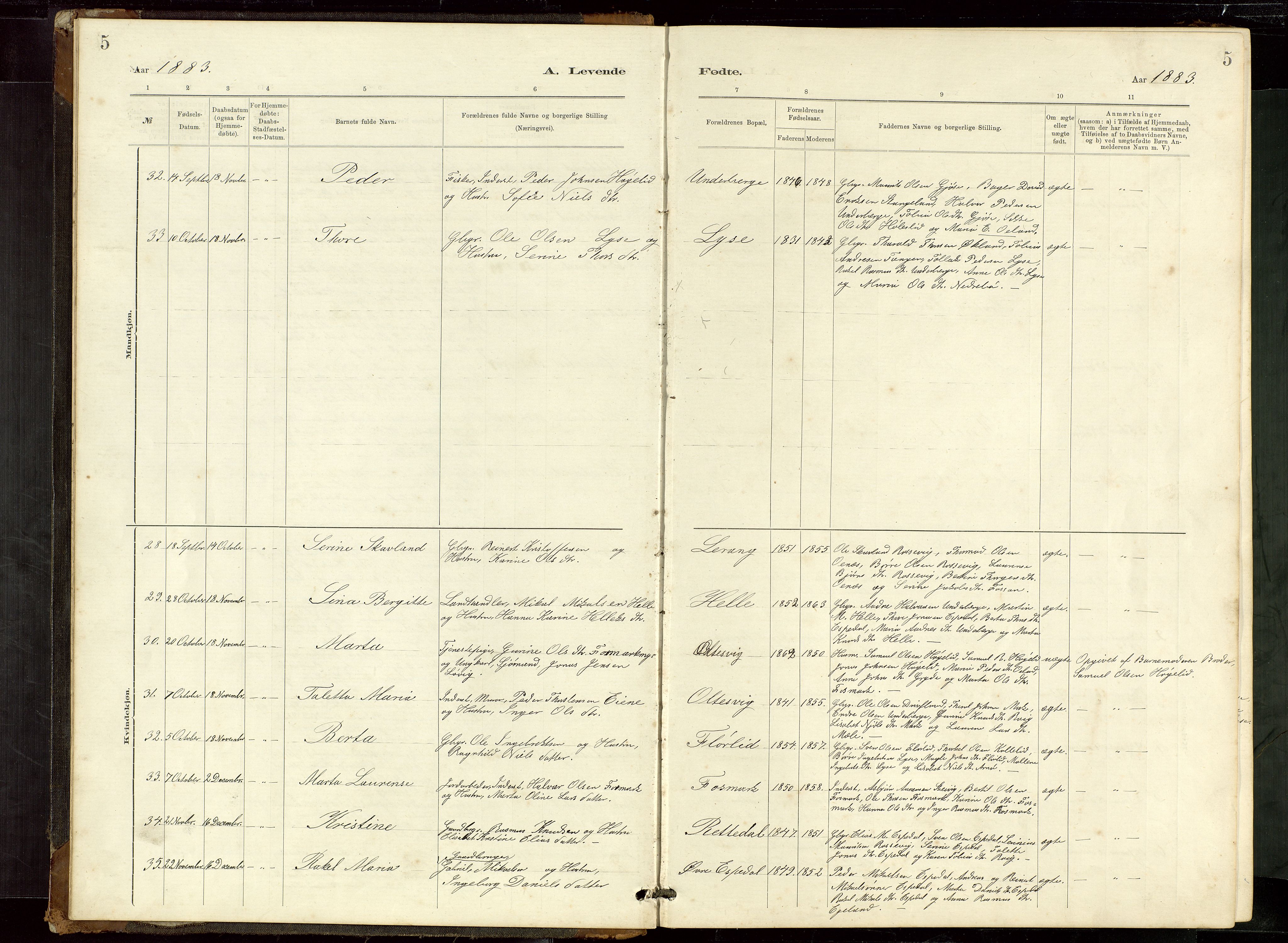 Høgsfjord sokneprestkontor, AV/SAST-A-101624/H/Ha/Hab/L0009: Parish register (copy) no. B 9, 1883-1920, p. 5