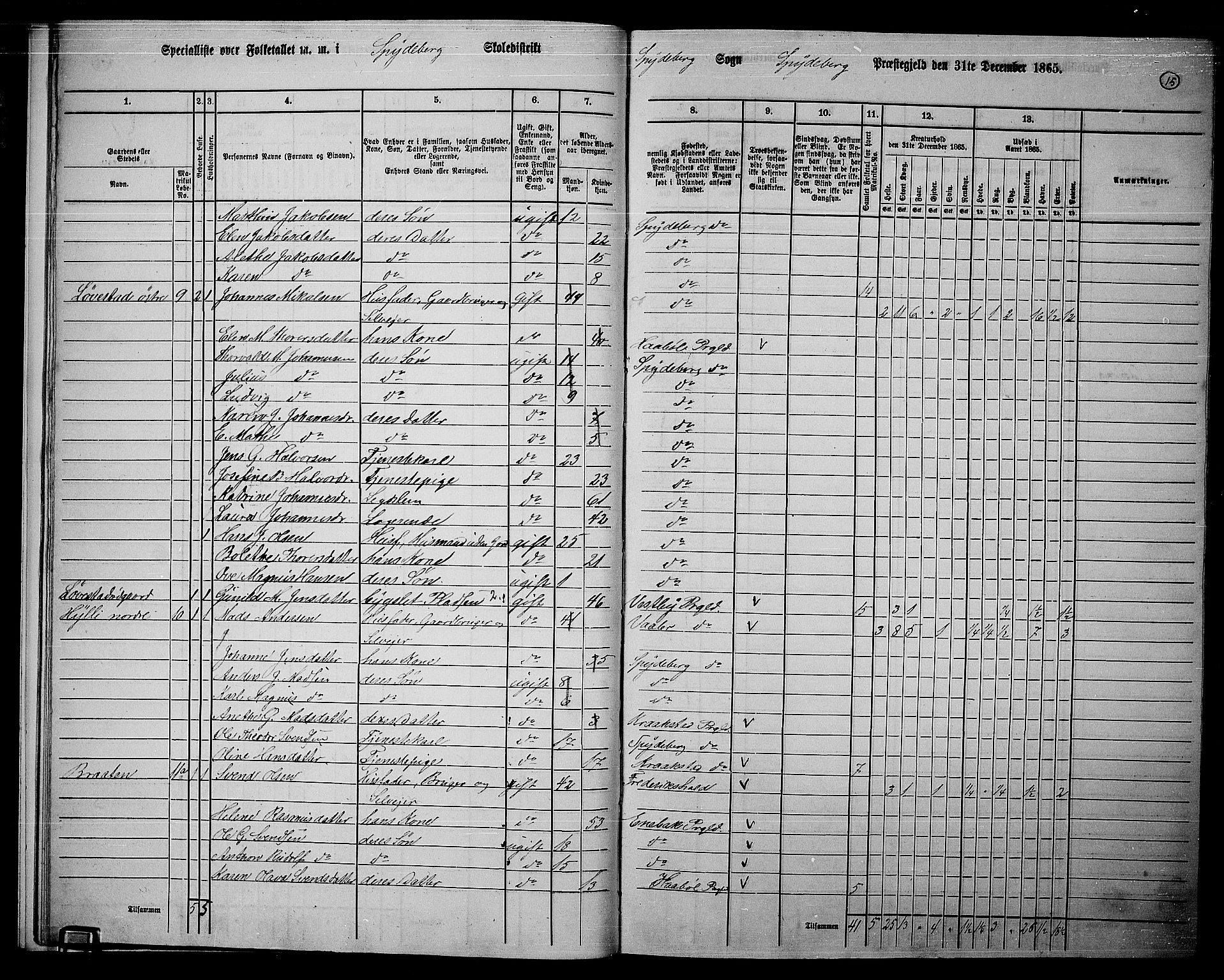 RA, 1865 census for Spydeberg, 1865, p. 14