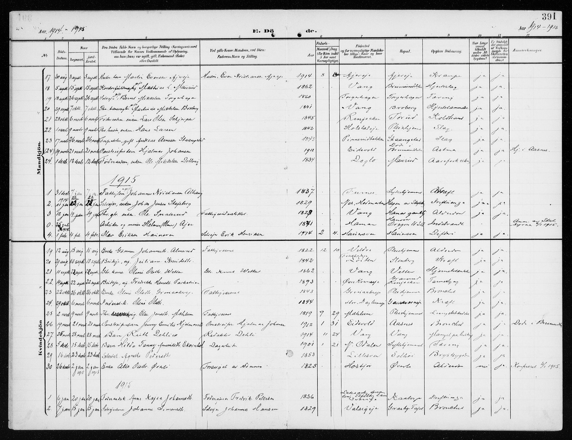 Furnes prestekontor, AV/SAH-PREST-012/K/Ka/L0001: Parish register (official) no. 1, 1907-1935, p. 391