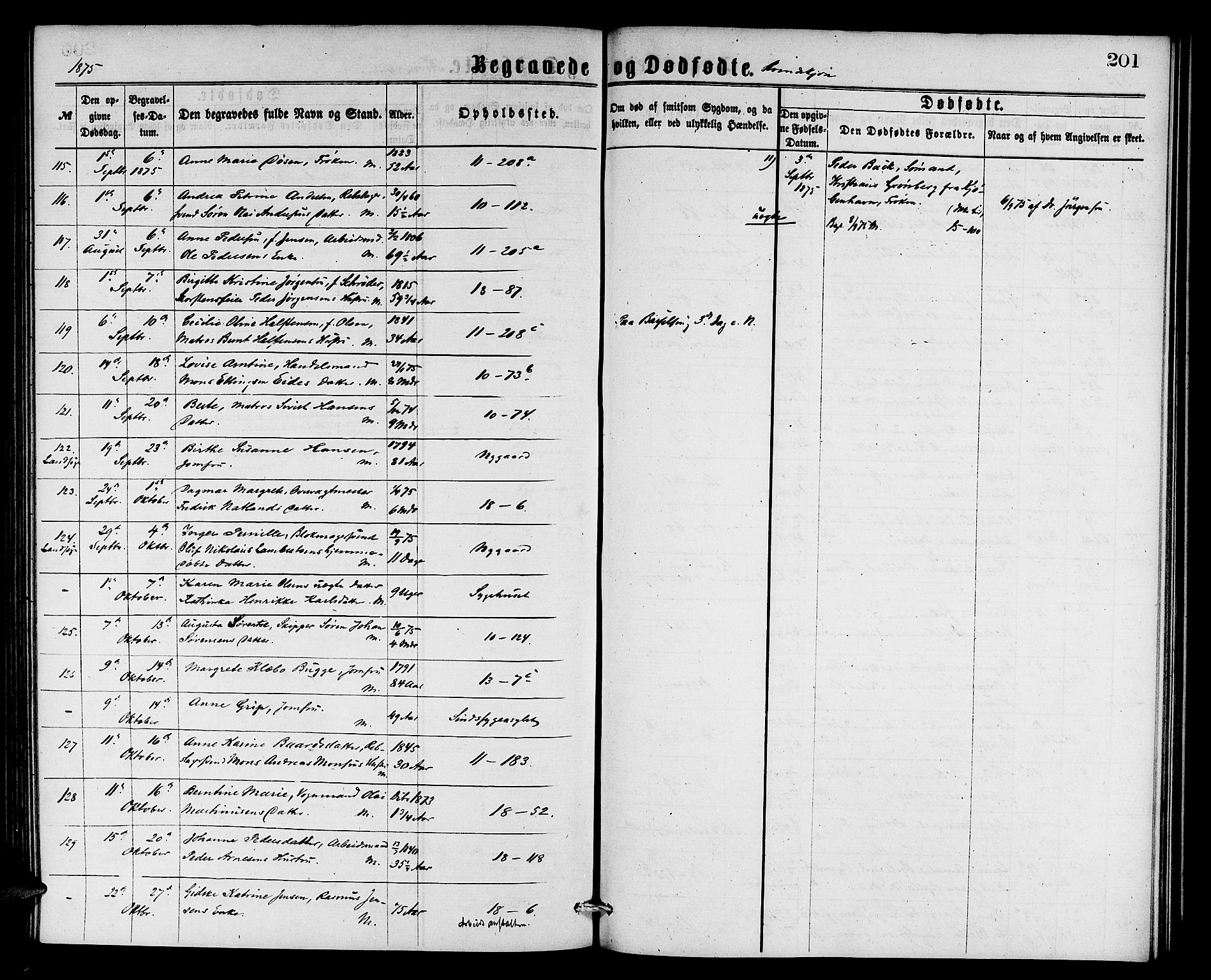 Domkirken sokneprestembete, AV/SAB-A-74801/H/Hab/L0040: Parish register (copy) no. E 4, 1868-1877, p. 201