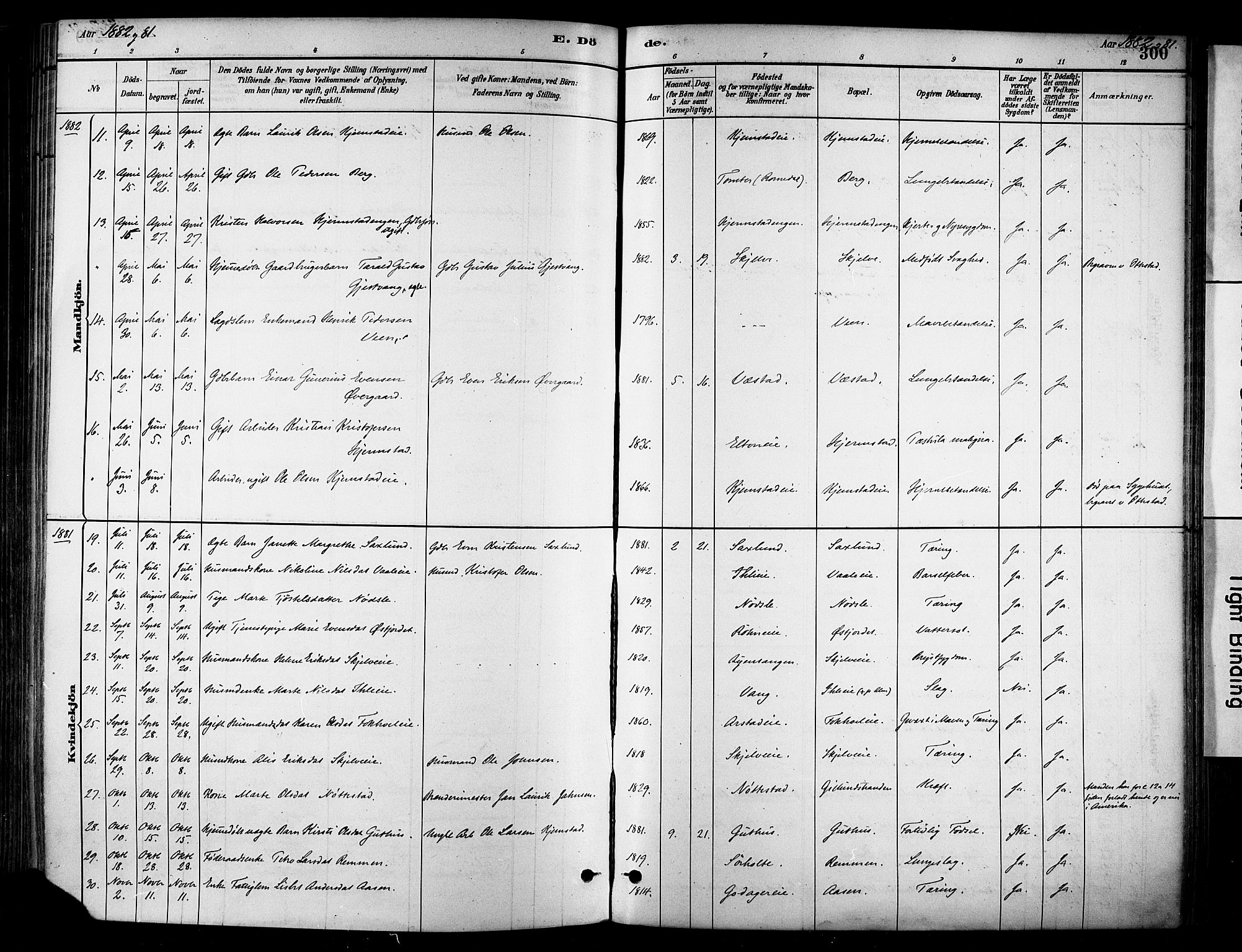 Stange prestekontor, AV/SAH-PREST-002/K/L0017: Parish register (official) no. 17, 1880-1893, p. 300