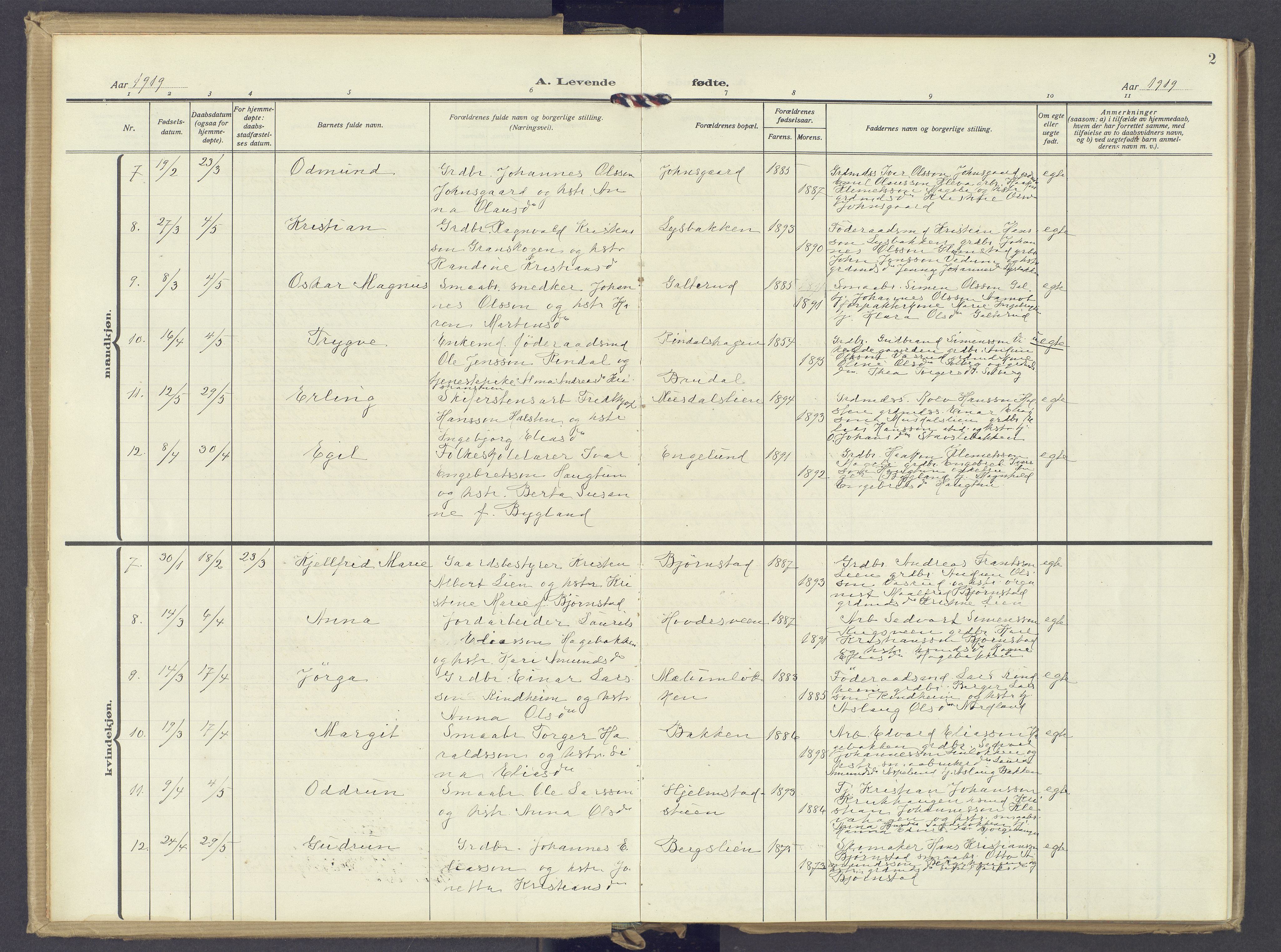 Øyer prestekontor, AV/SAH-PREST-084/H/Ha/Haa/L0014: Parish register (official) no. 14, 1919-1932, p. 2