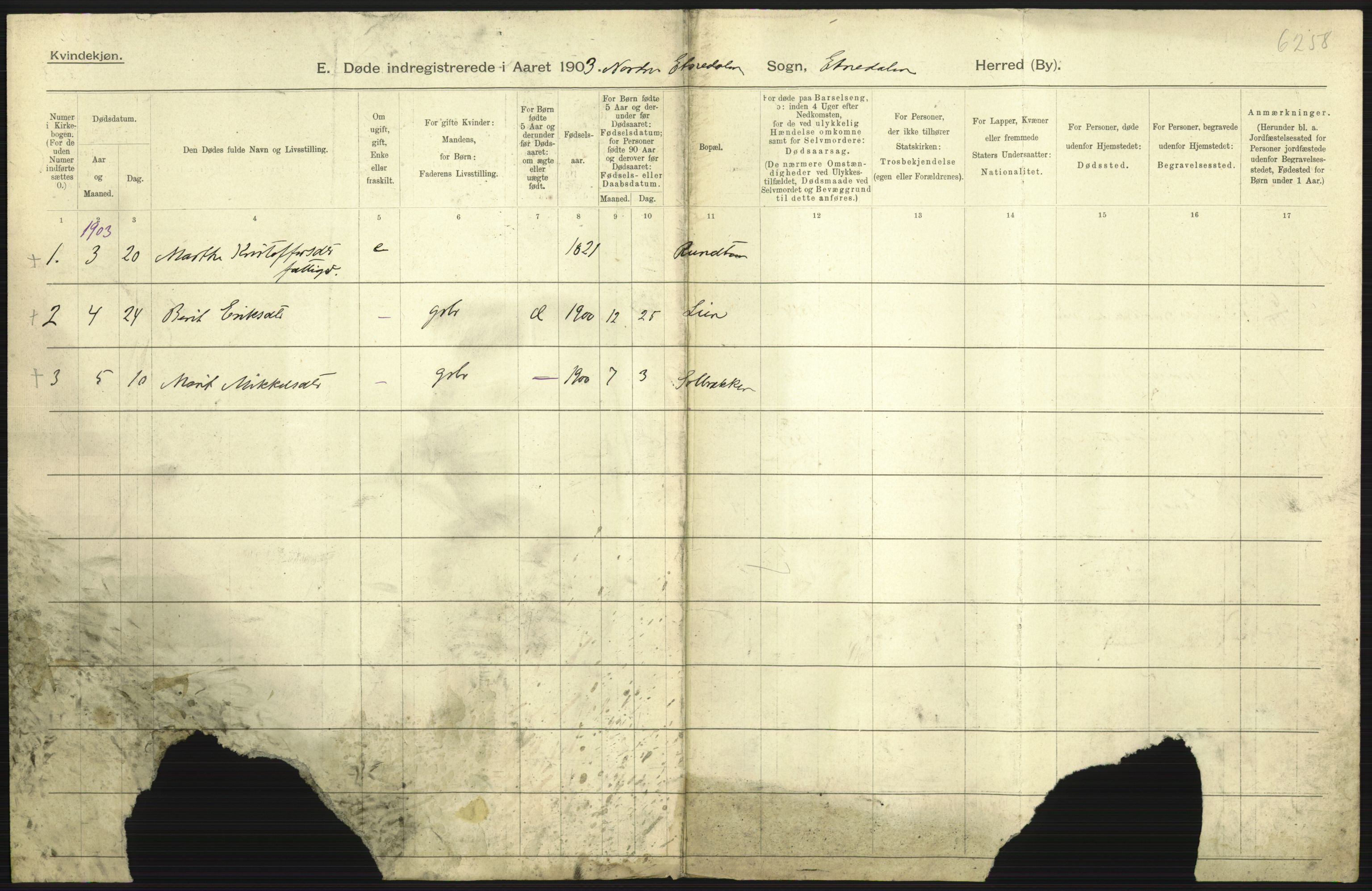 Statistisk sentralbyrå, Sosiodemografiske emner, Befolkning, AV/RA-S-2228/D/Df/Dfa/Dfaa/L0006: Kristians amt: Fødte, gifte, døde, 1903, p. 617