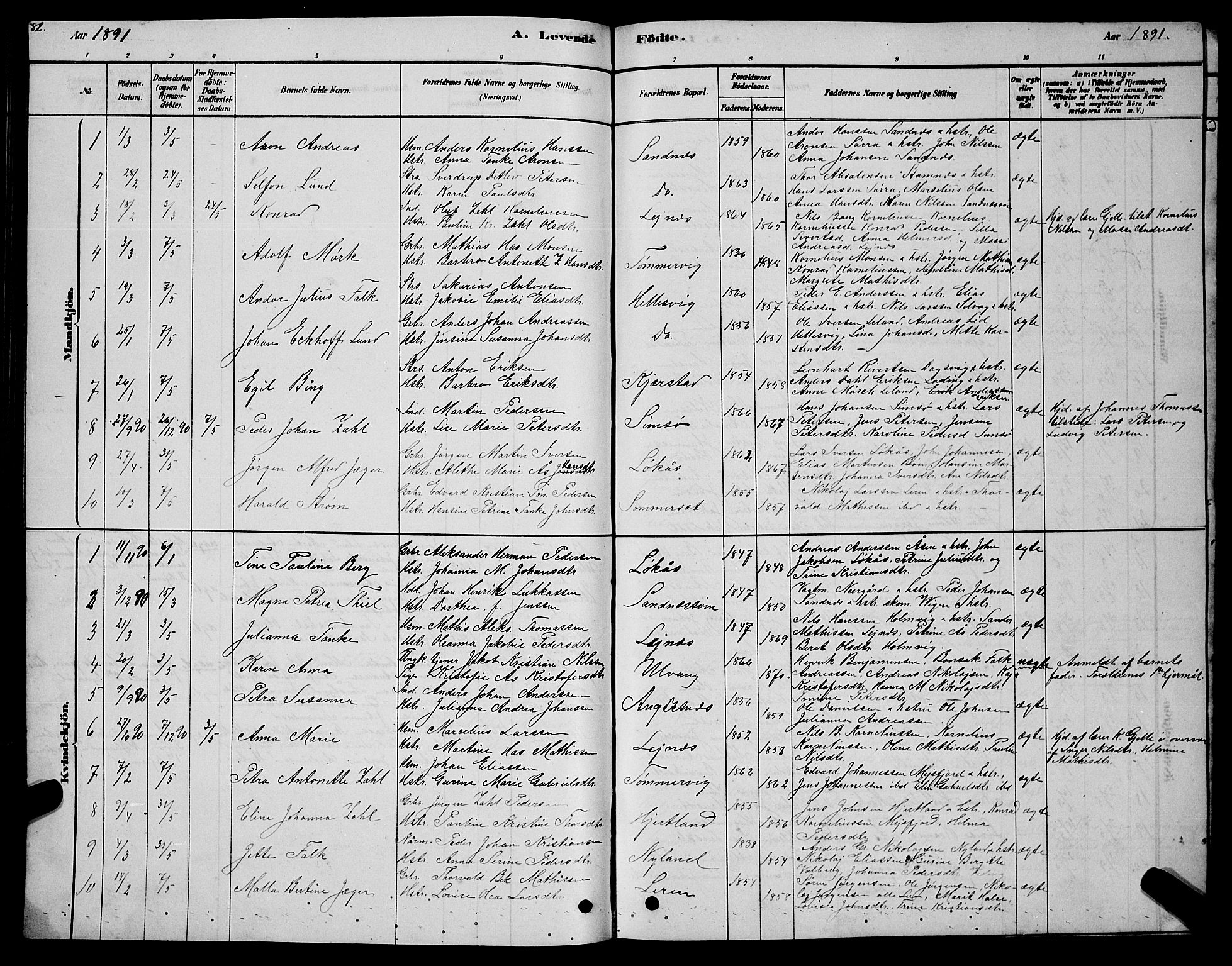 Ministerialprotokoller, klokkerbøker og fødselsregistre - Nordland, AV/SAT-A-1459/831/L0477: Parish register (copy) no. 831C04, 1878-1897, p. 82