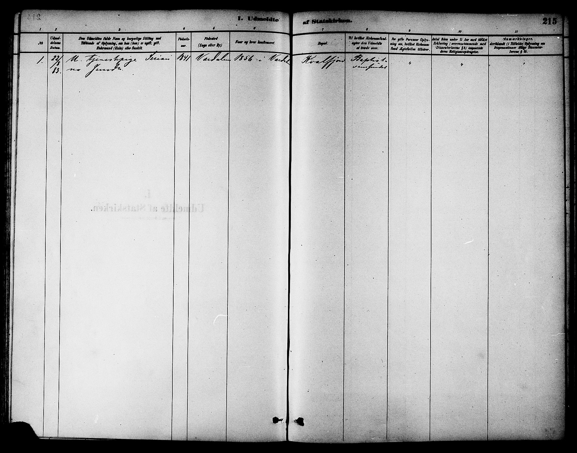 Ministerialprotokoller, klokkerbøker og fødselsregistre - Nord-Trøndelag, SAT/A-1458/784/L0672: Parish register (official) no. 784A07, 1880-1887, p. 215