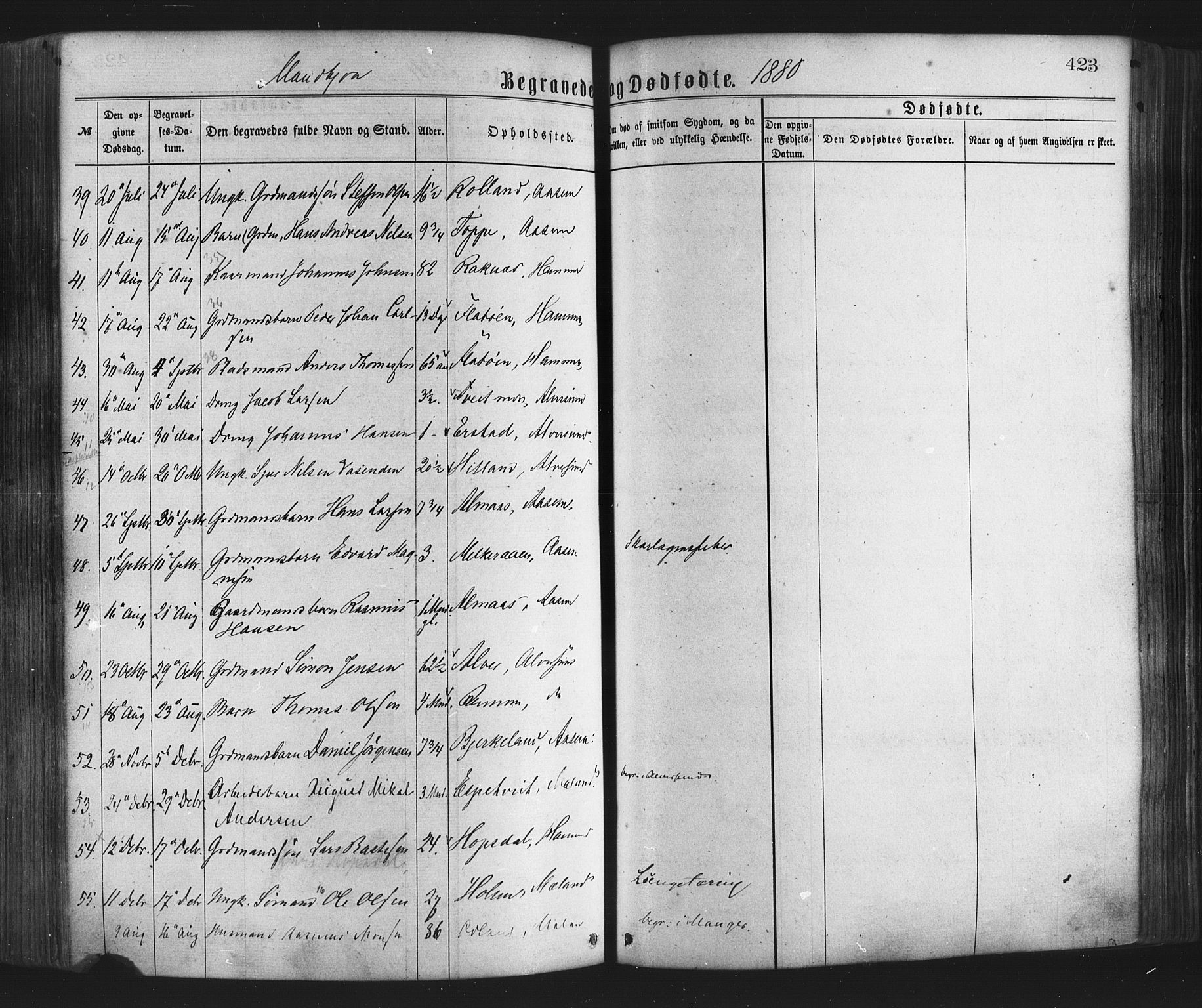 Hamre sokneprestembete, AV/SAB-A-75501/H/Ha/Haa/Haaa/L0015: Parish register (official) no. A 15, 1870-1881, p. 423