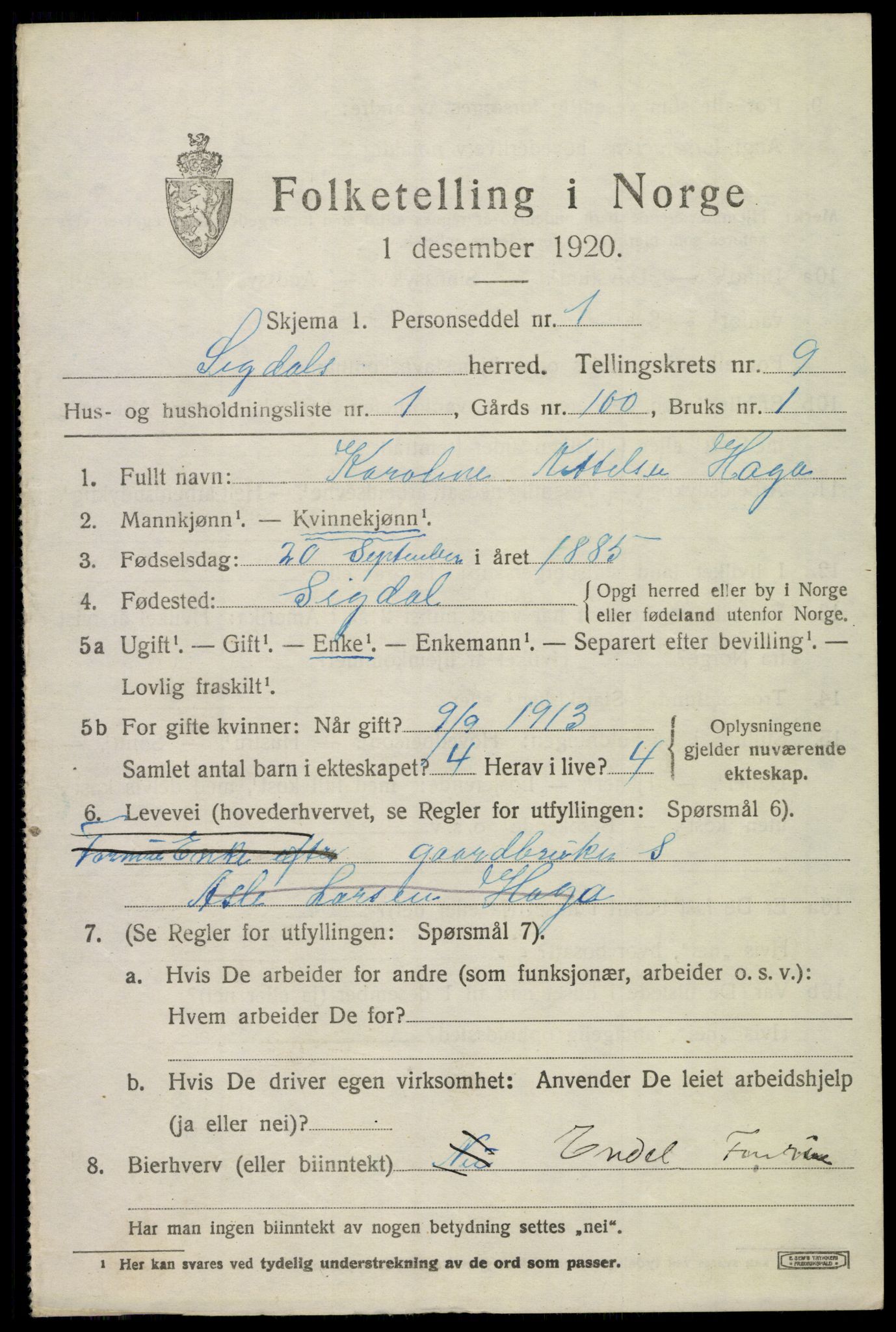 SAKO, 1920 census for Sigdal, 1920, p. 6372