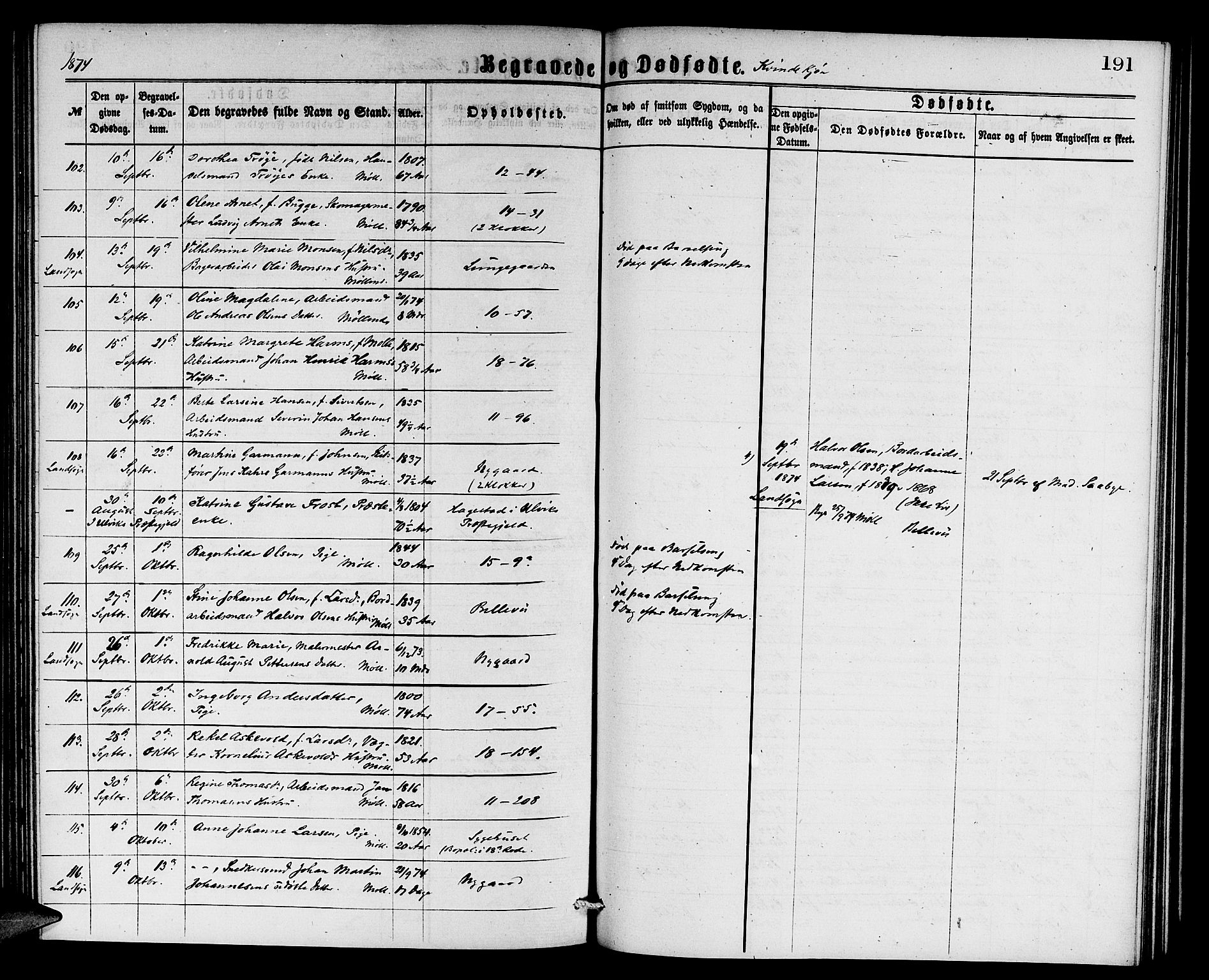 Domkirken sokneprestembete, AV/SAB-A-74801/H/Hab/L0040: Parish register (copy) no. E 4, 1868-1877, p. 191