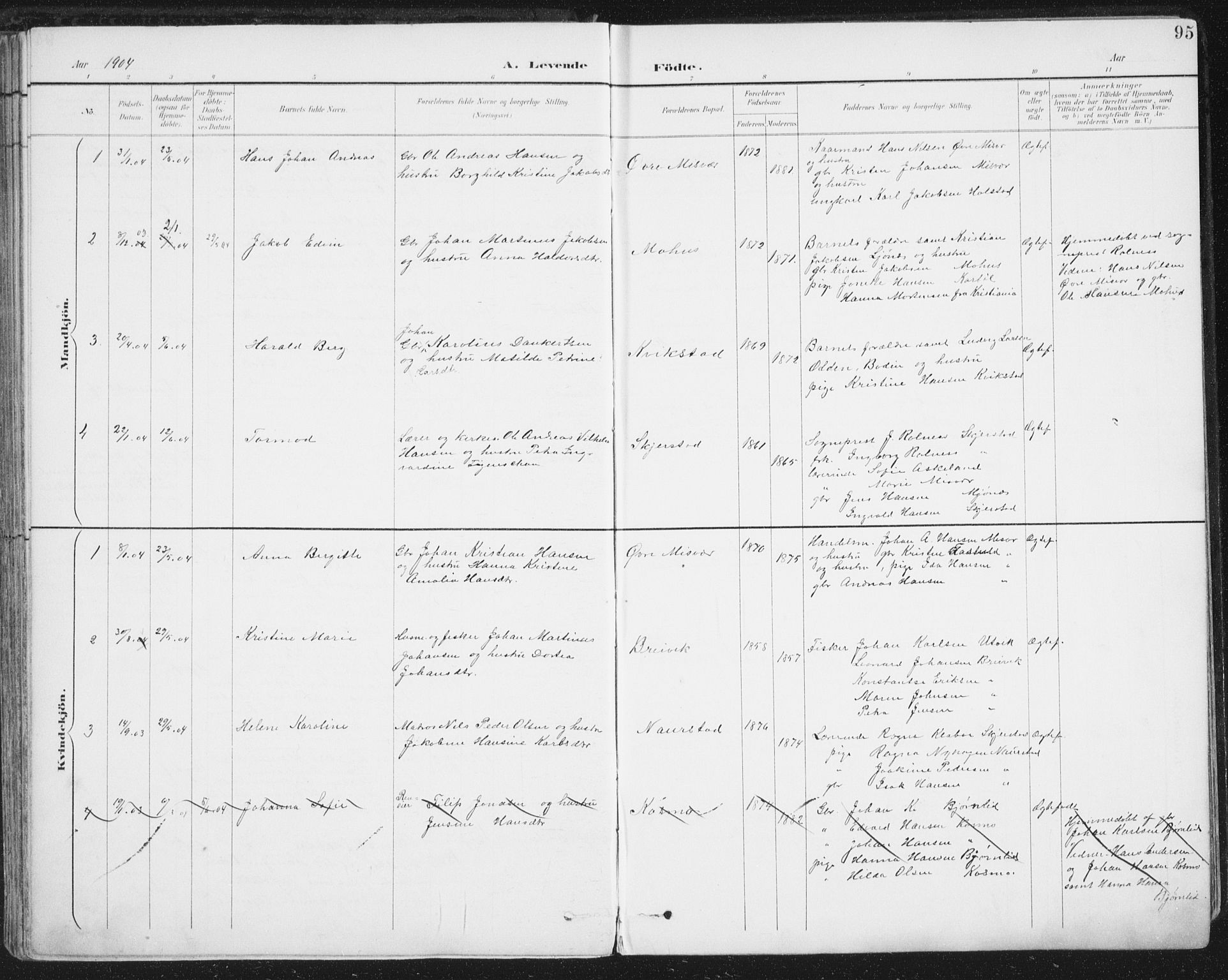 Ministerialprotokoller, klokkerbøker og fødselsregistre - Nordland, SAT/A-1459/852/L0741: Parish register (official) no. 852A11, 1894-1917, p. 95